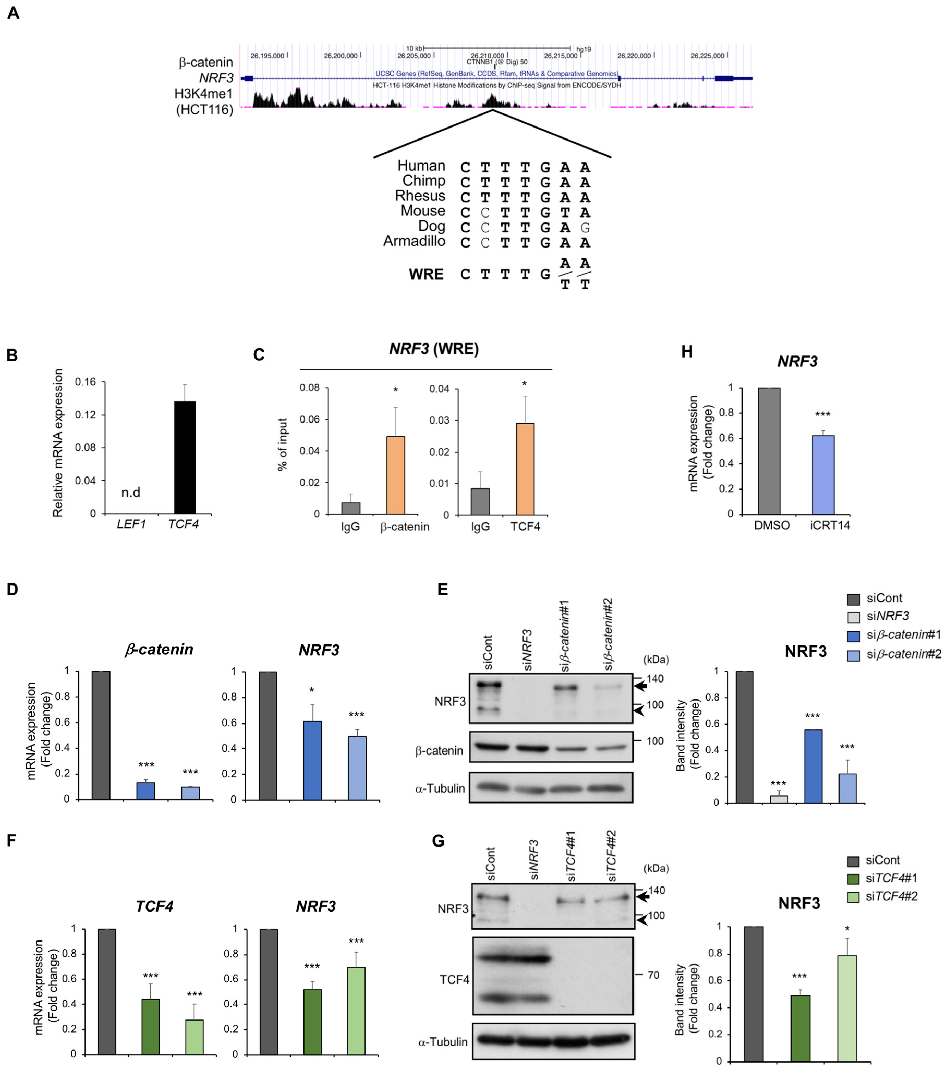 Ijms 20 03344 g002 Ijms 20 03344 g002