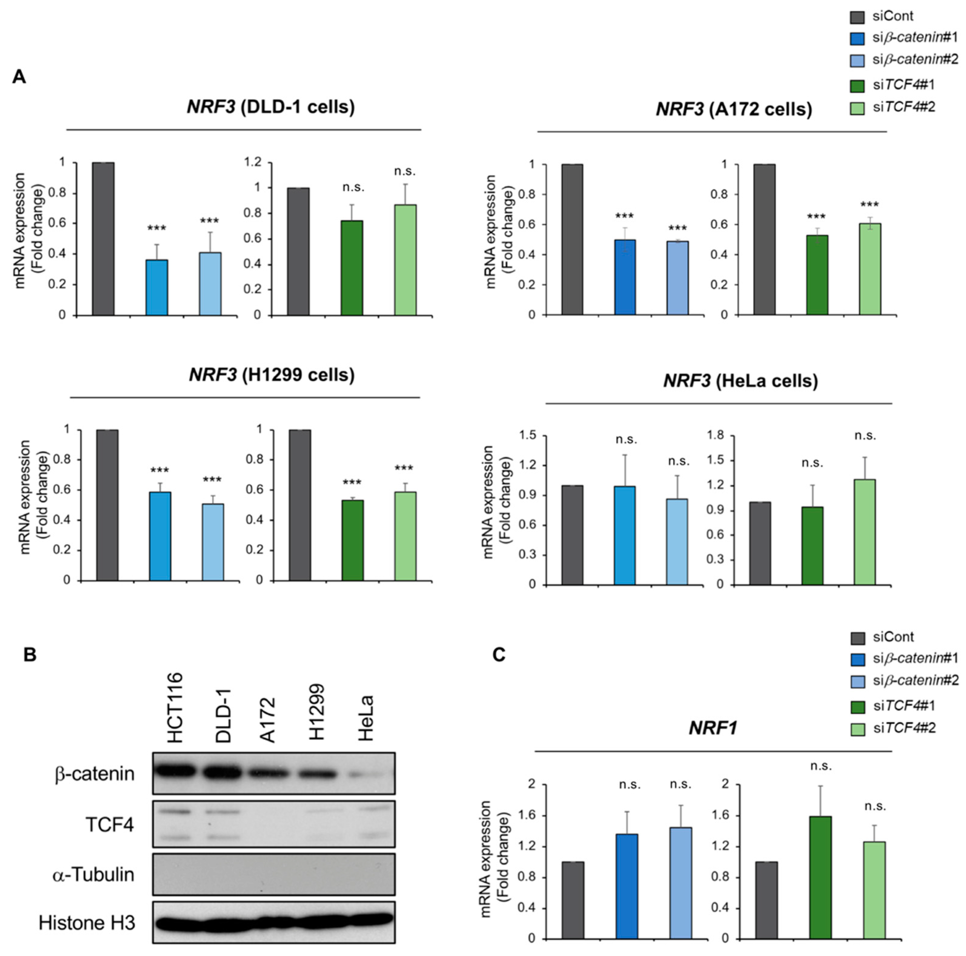 Ijms 20 03344 g003 Ijms 20 03344 g003