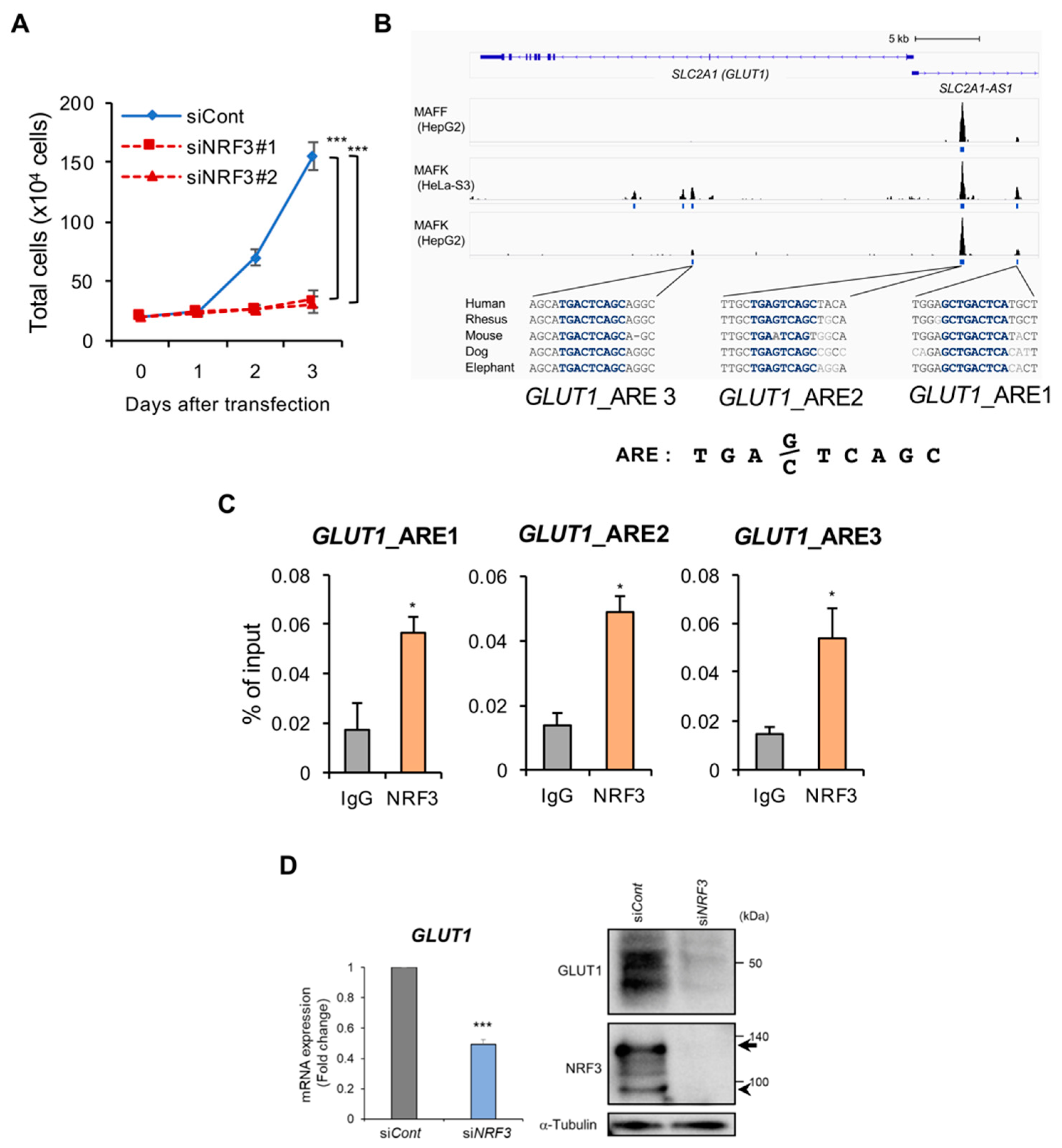 Ijms 20 03344 g004 Ijms 20 03344 g004