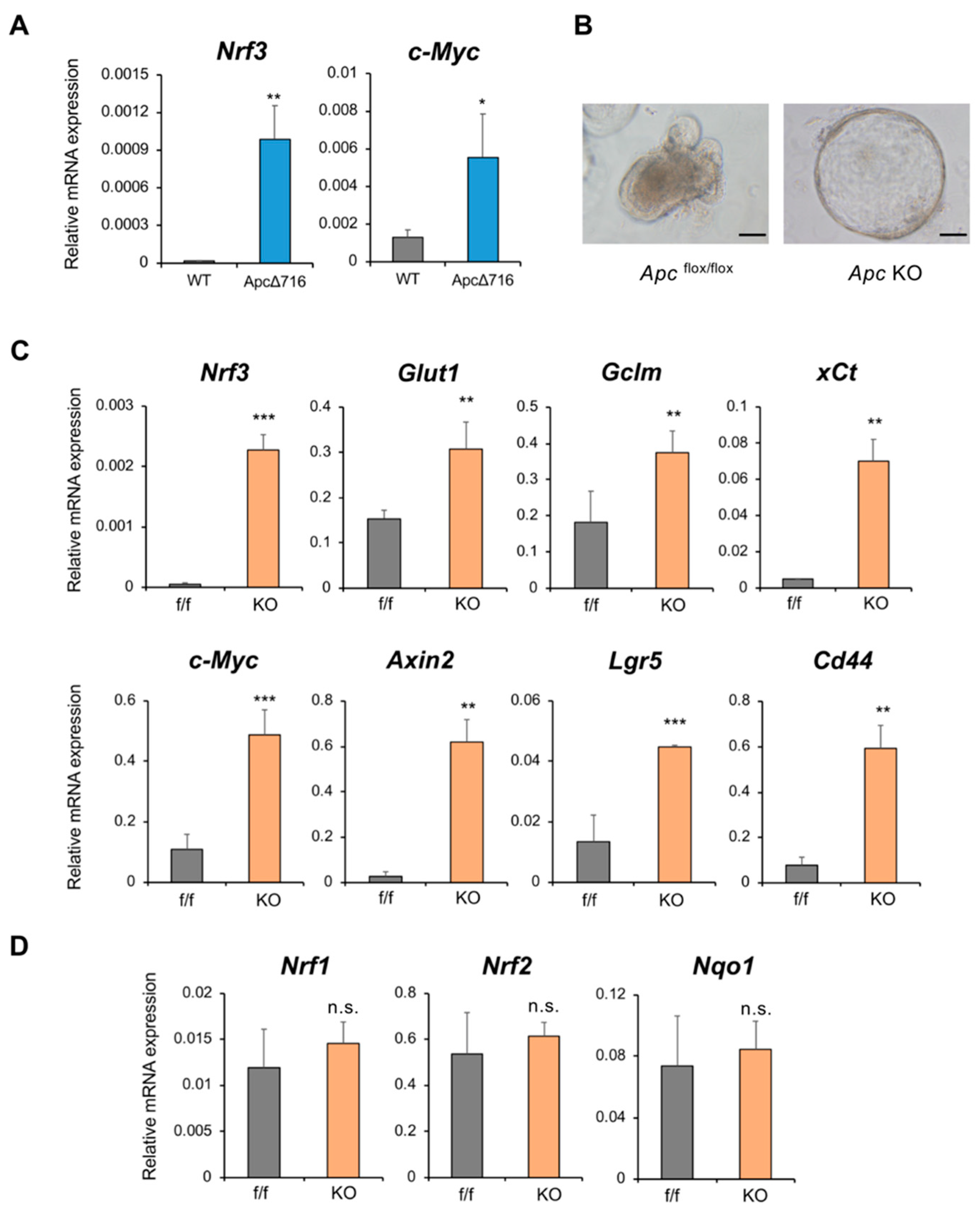 Ijms 20 03344 g005 Ijms 20 03344 g005