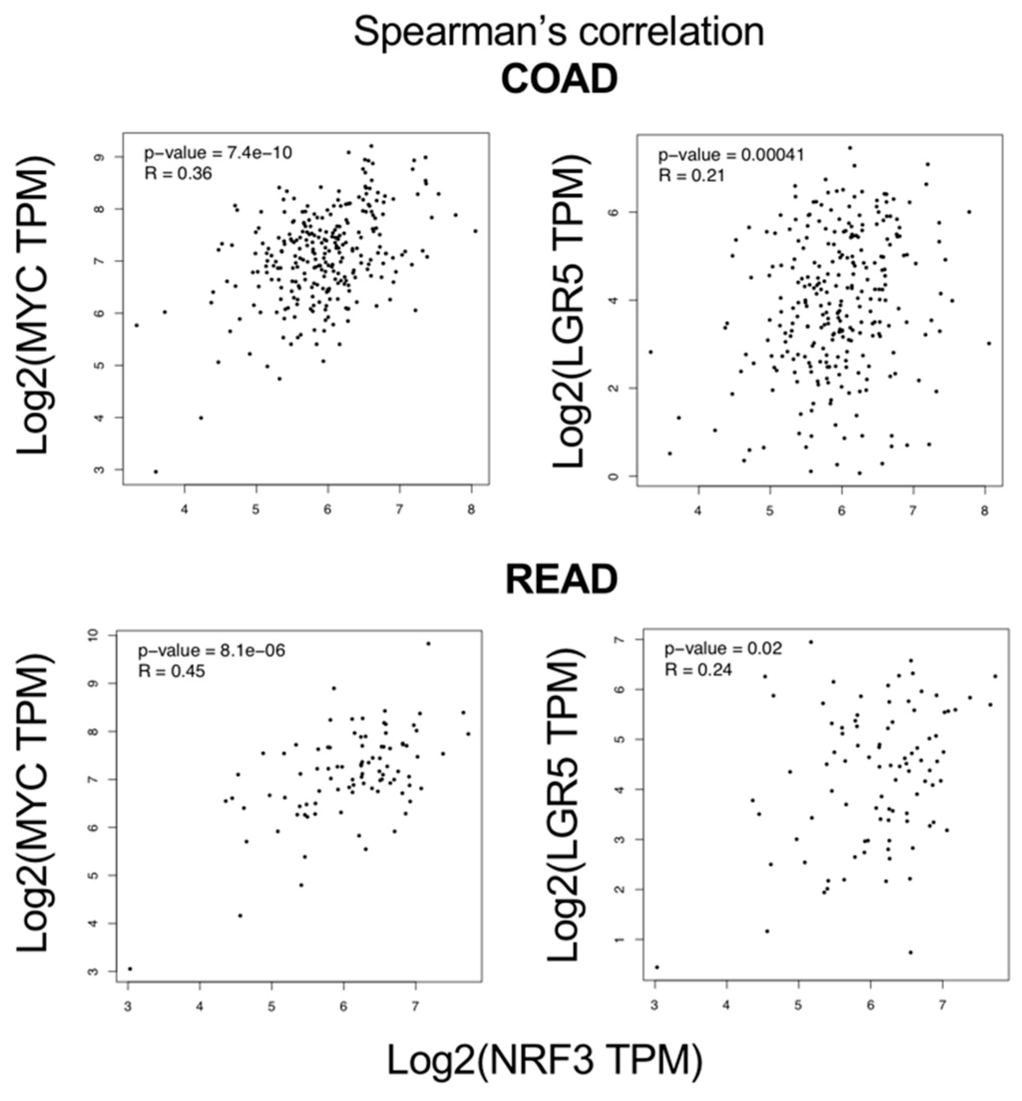 Ijms 20 03344 g006 Ijms 20 03344 g006