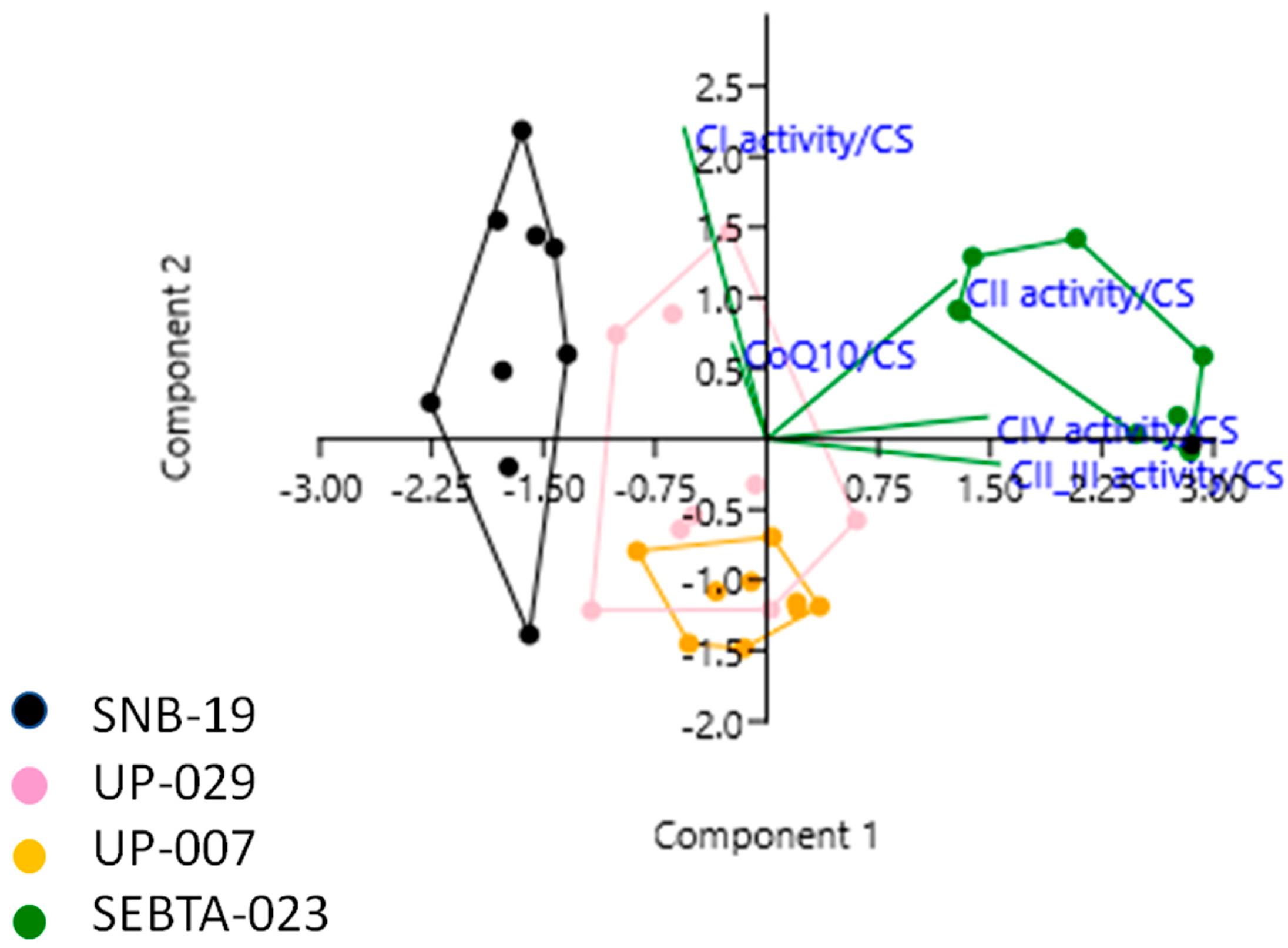 Ijms 20 03364 g003 Ijms 20 03364 g003