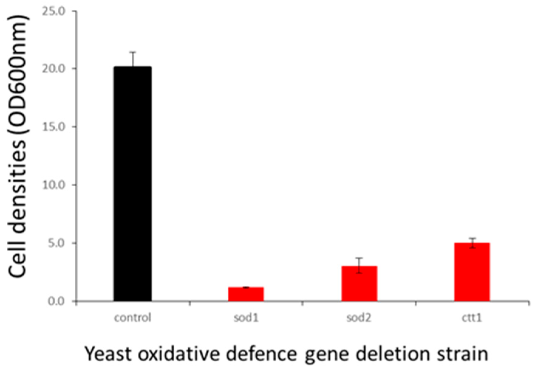 Ijms 20 03364 g007 Ijms 20 03364 g007