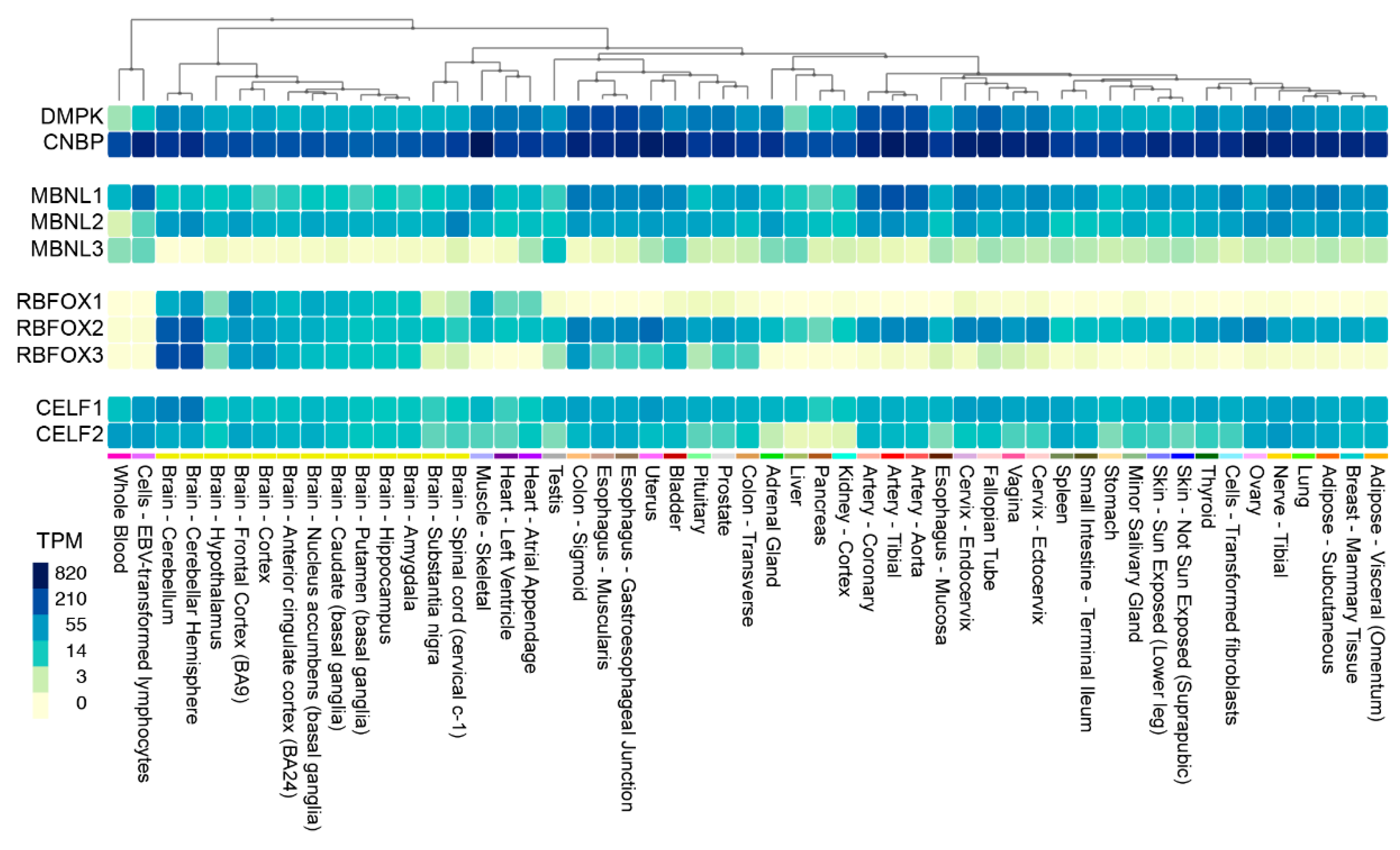 Ijms 20 03365 g006 Ijms 20 03365 g006