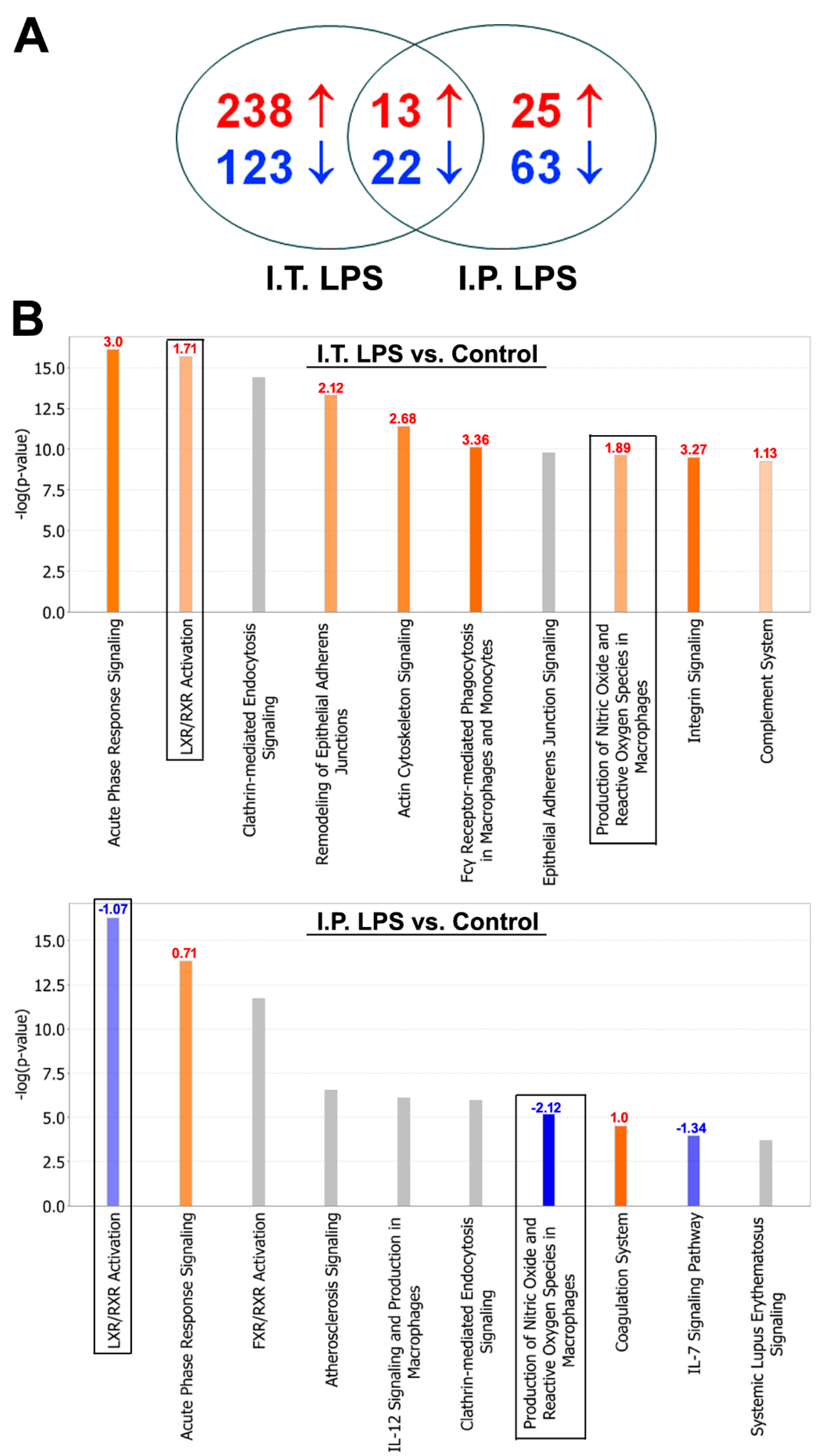 Ijms 20 03401 g002 Ijms 20 03401 g002