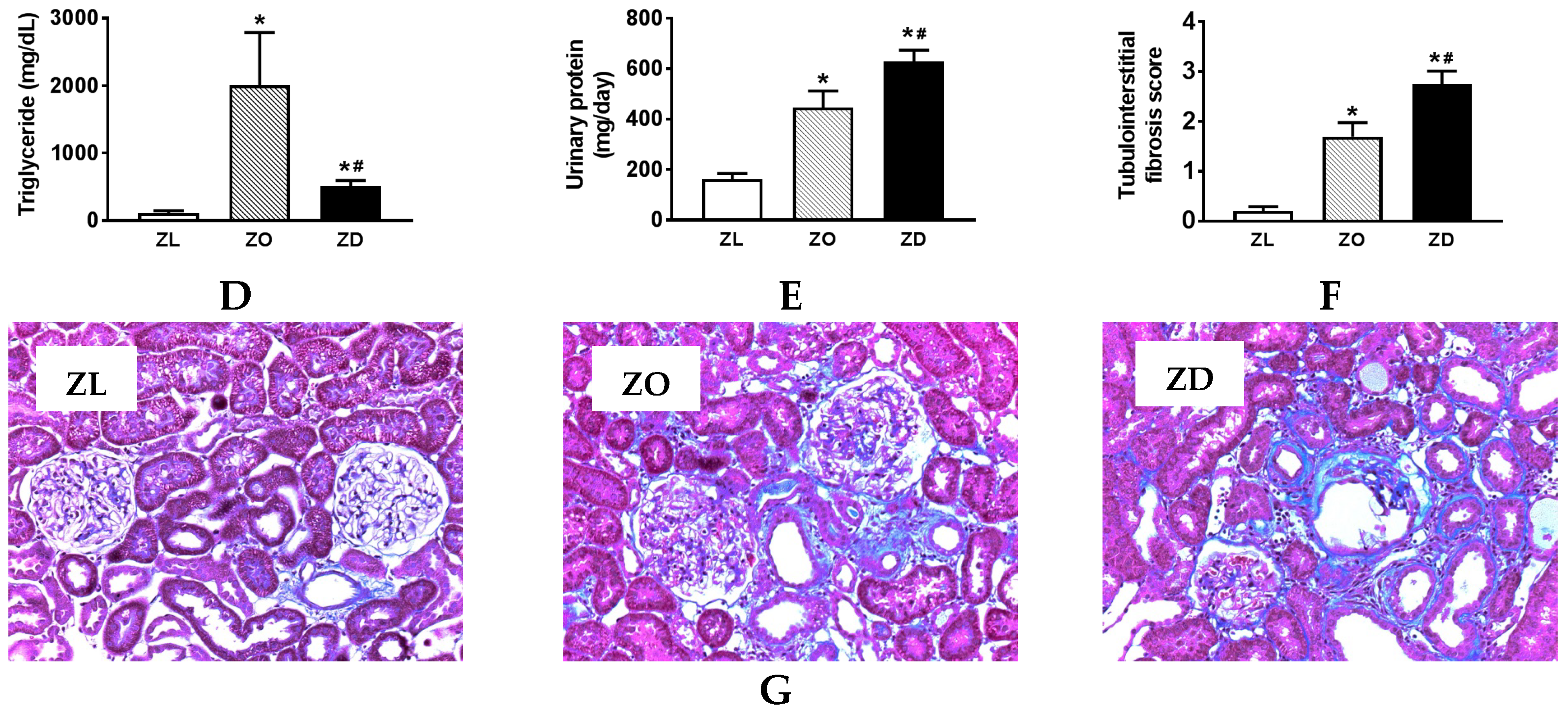 Ijms 20 03406 g001b Ijms 20 03406 g001b
