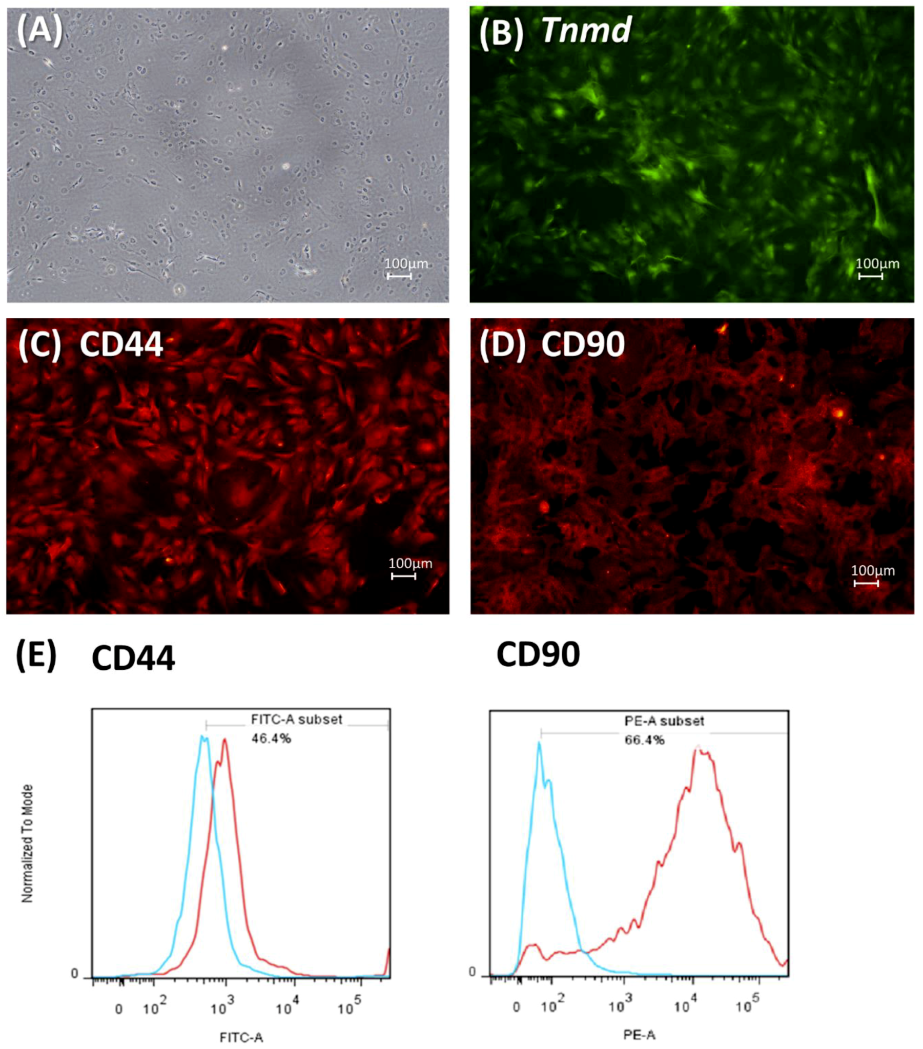 Ijms 20 03437 g001
