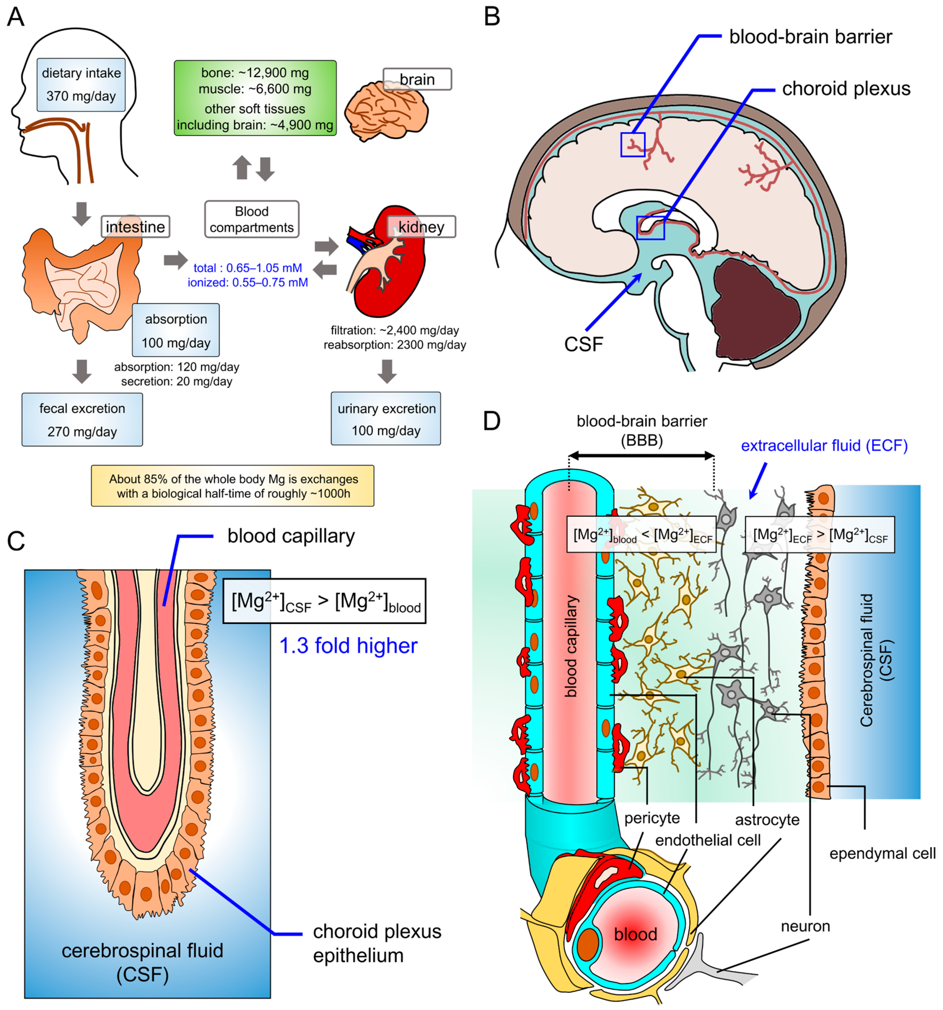 Ijms 20 03439 g001 Ijms 20 03439 g001