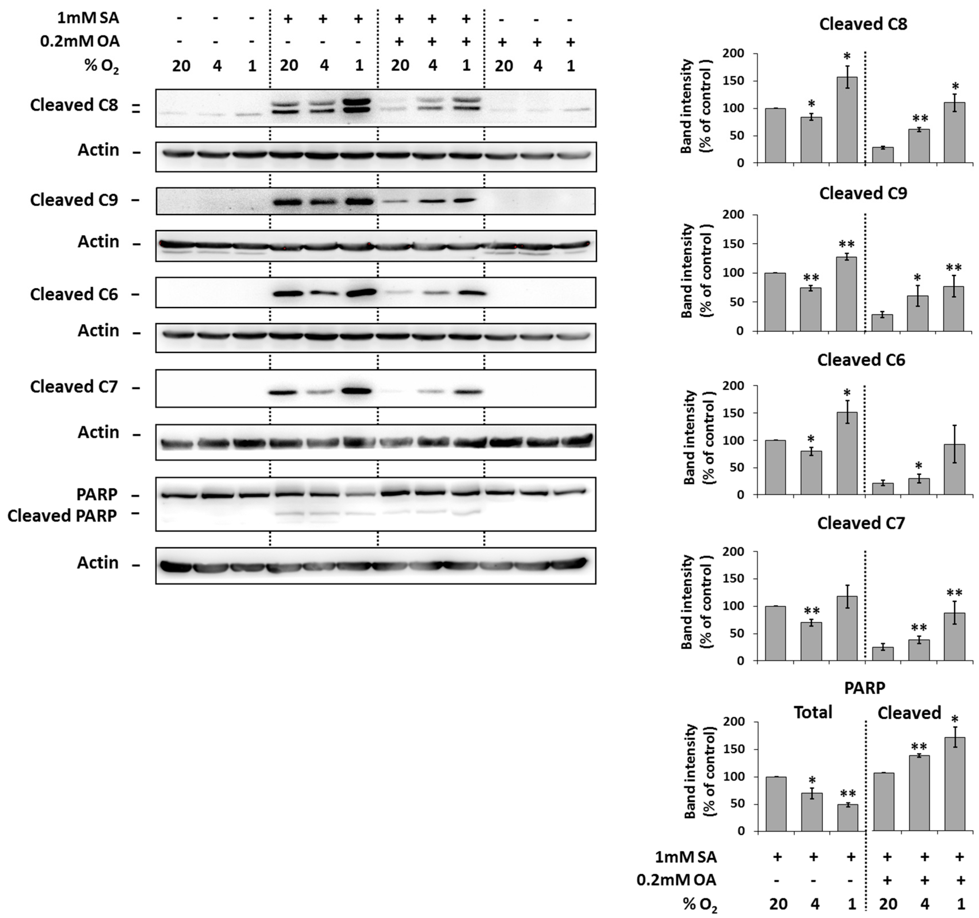 Ijms 20 03441 g003 Ijms 20 03441 g003