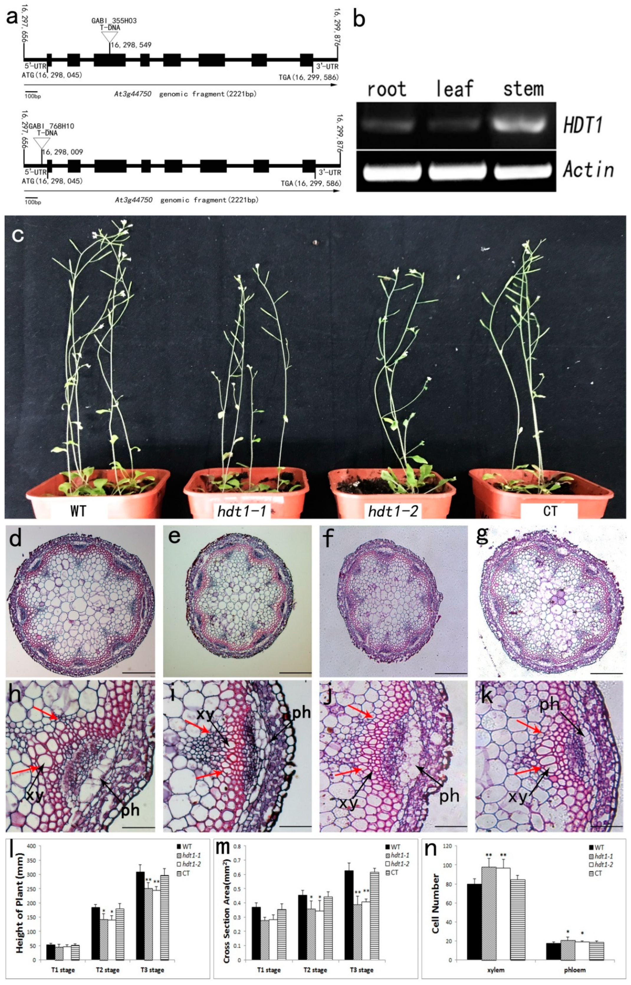 Ijms 20 03452 g001 Ijms 20 03452 g001