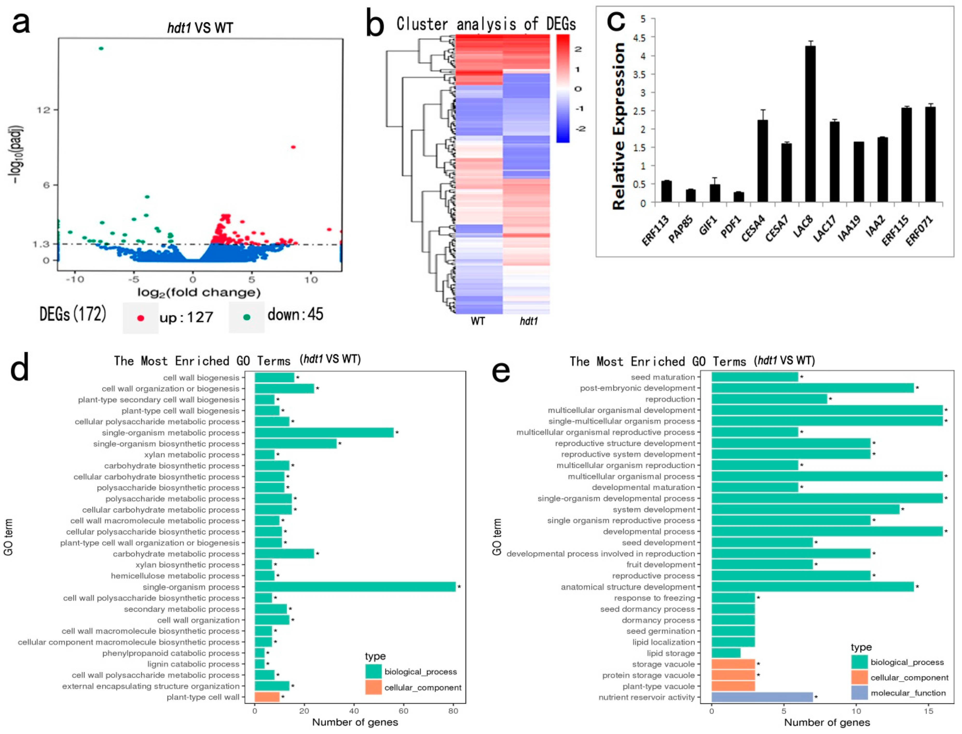 Ijms 20 03452 g004 Ijms 20 03452 g004