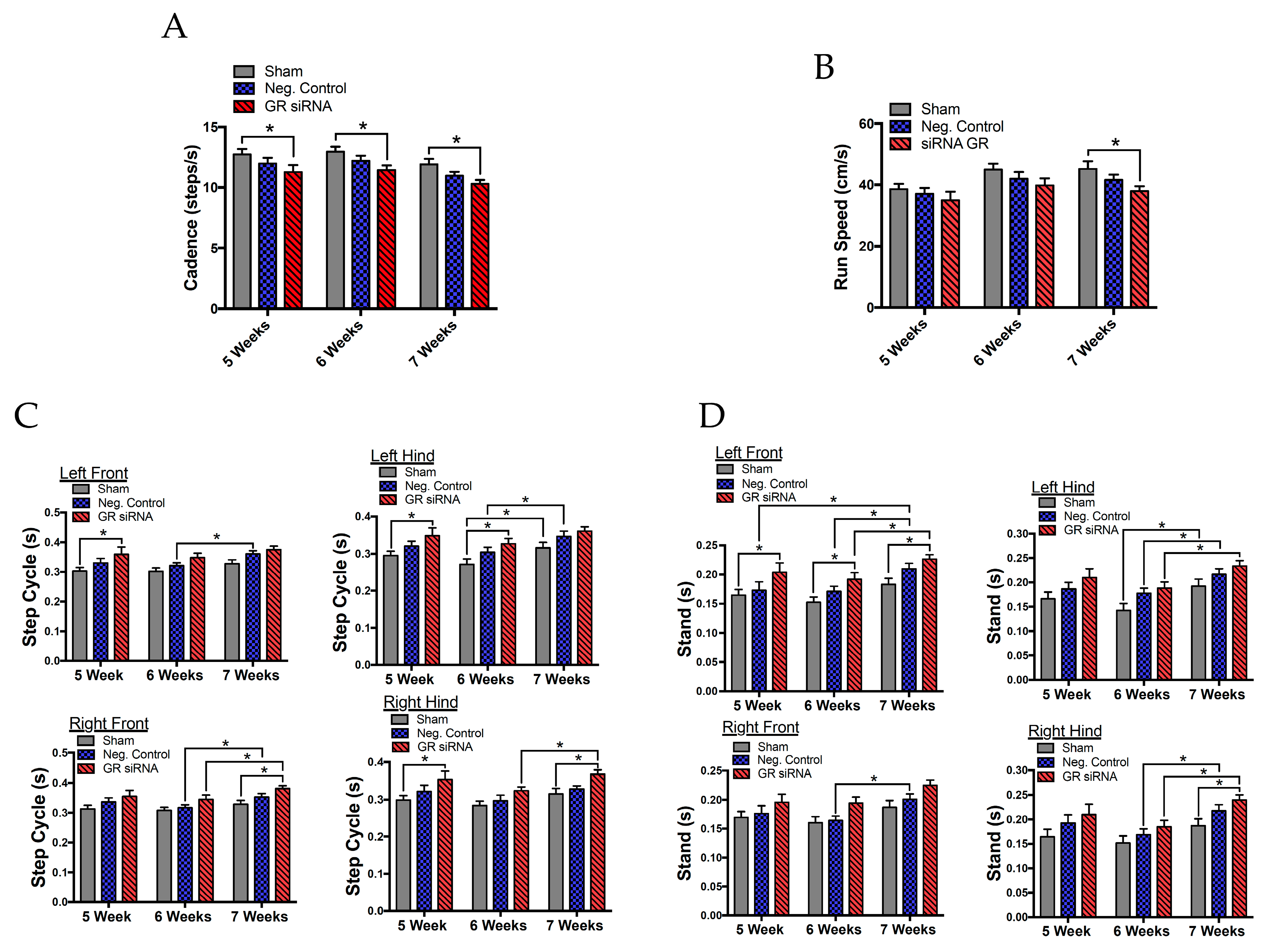 Ijms 20 03493 g006 Ijms 20 03493 g006