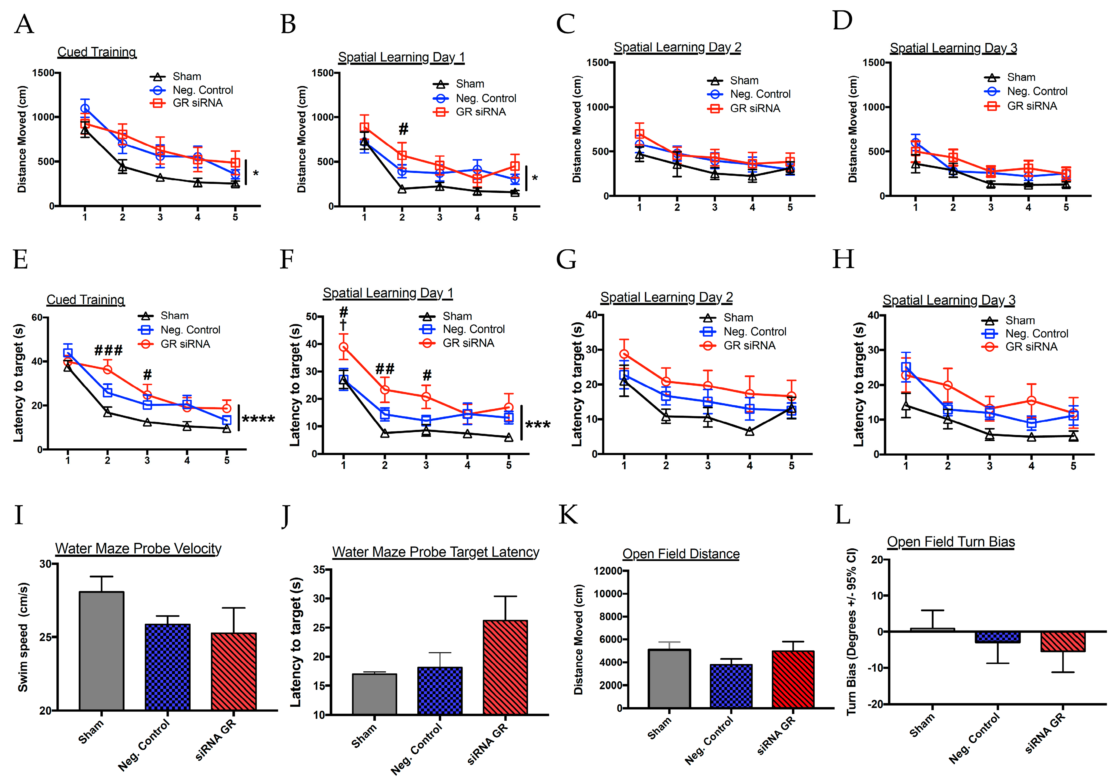Ijms 20 03493 g007 Ijms 20 03493 g007