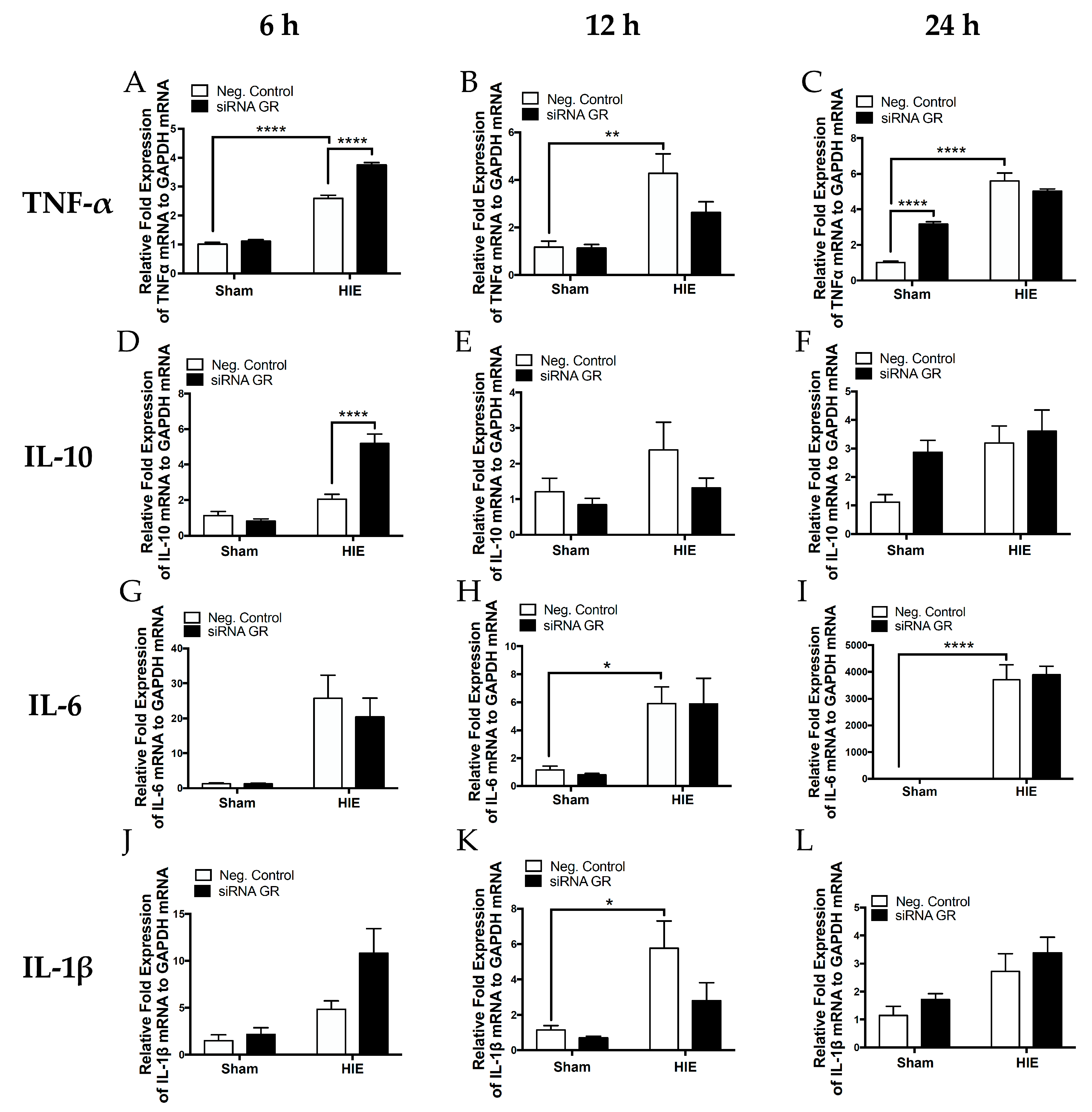 Ijms 20 03493 g008 Ijms 20 03493 g008