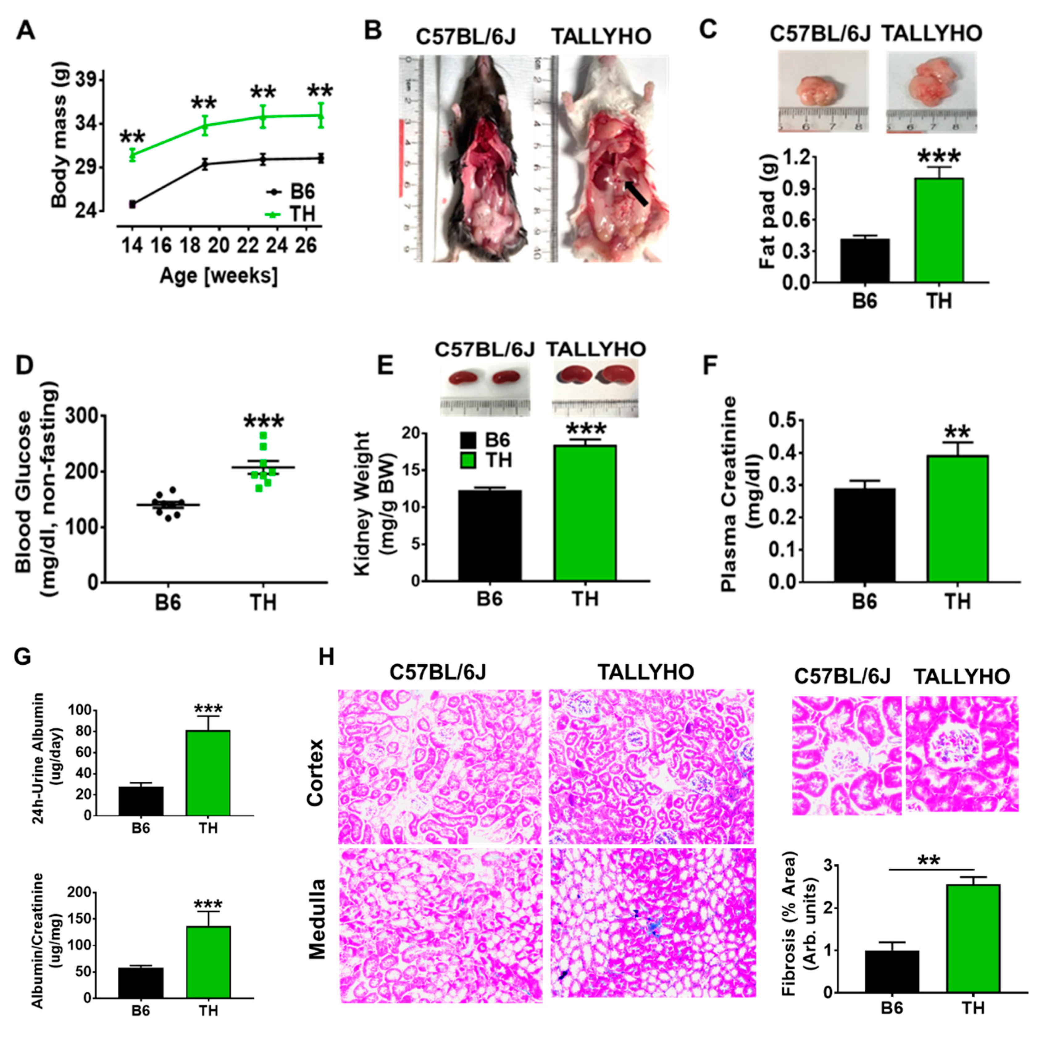Ijms 20 03495 g001 Ijms 20 03495 g001