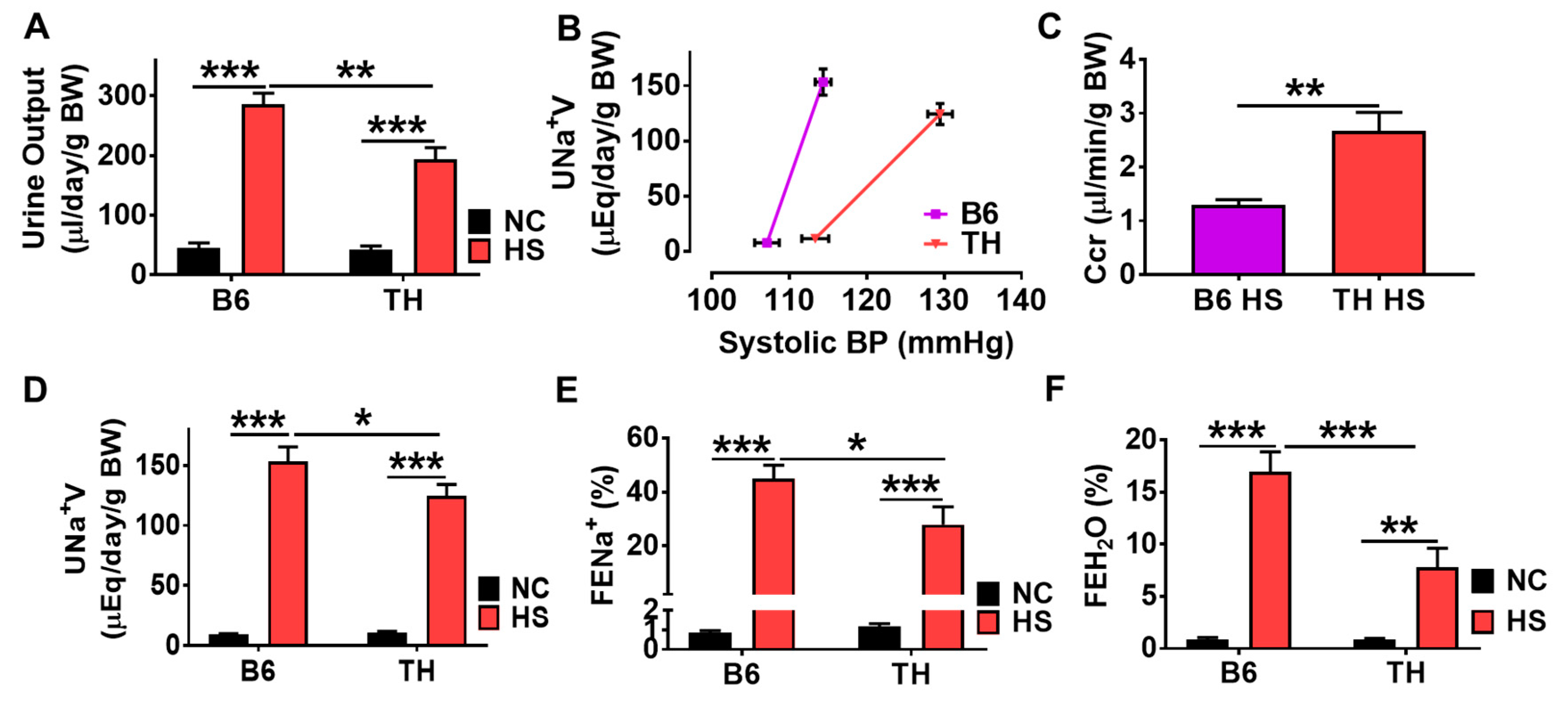 Ijms 20 03495 g004 Ijms 20 03495 g004