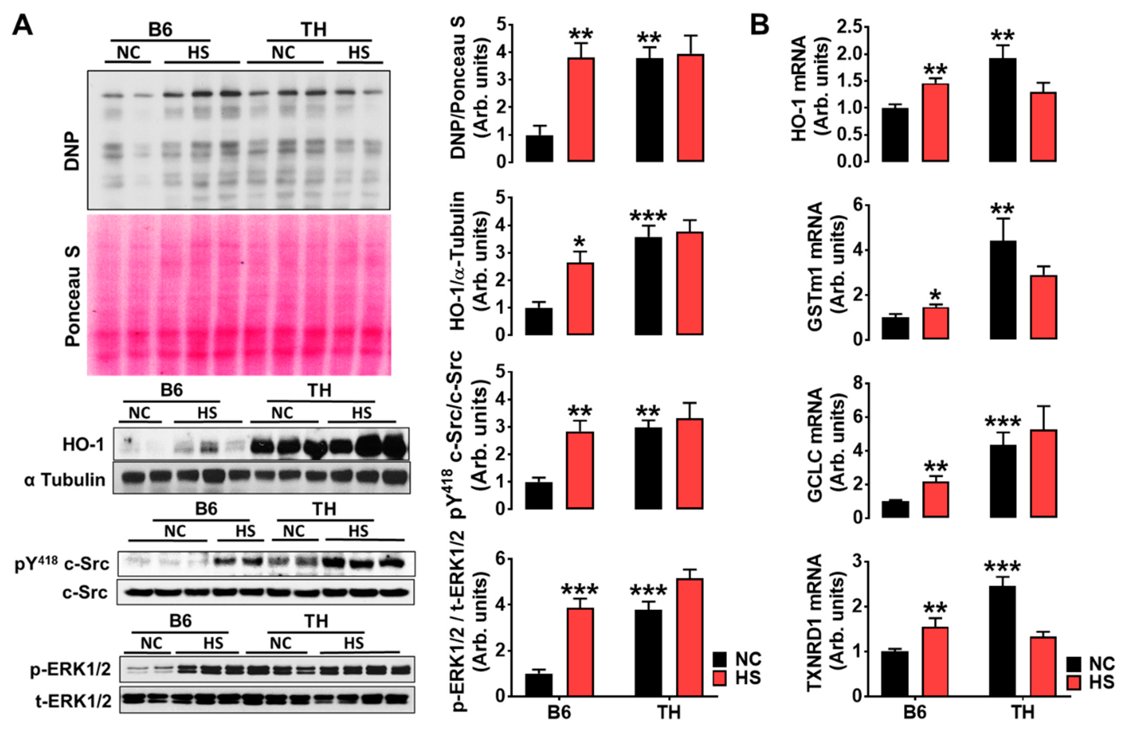 Ijms 20 03495 g005 Ijms 20 03495 g005