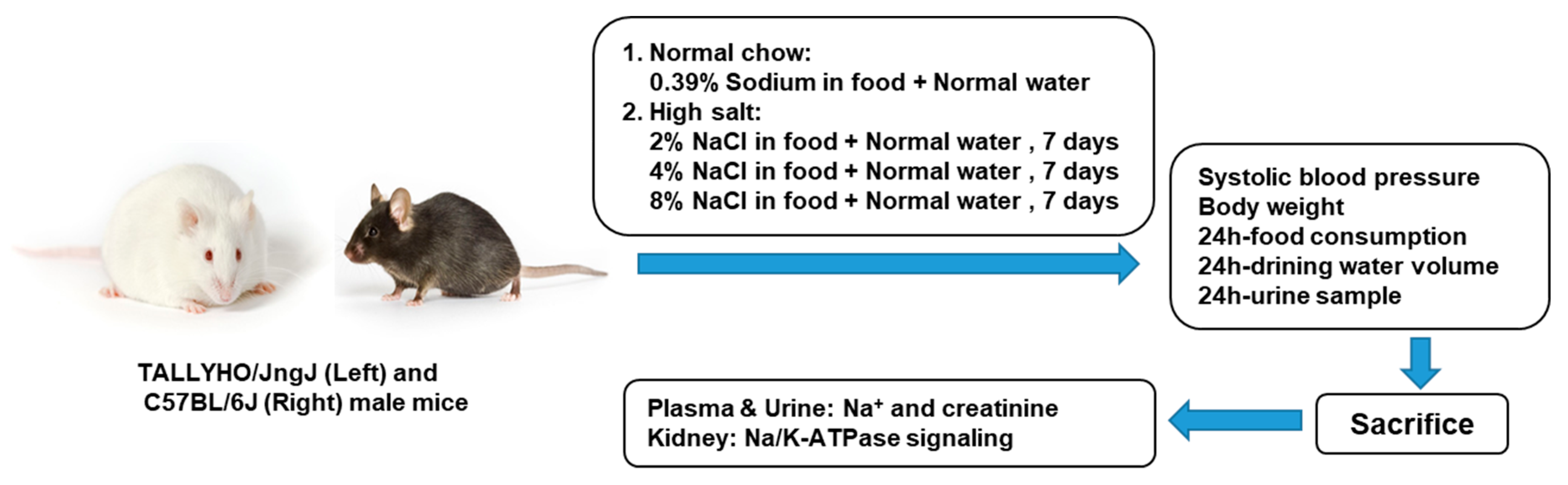 Ijms 20 03495 g006 Ijms 20 03495 g006