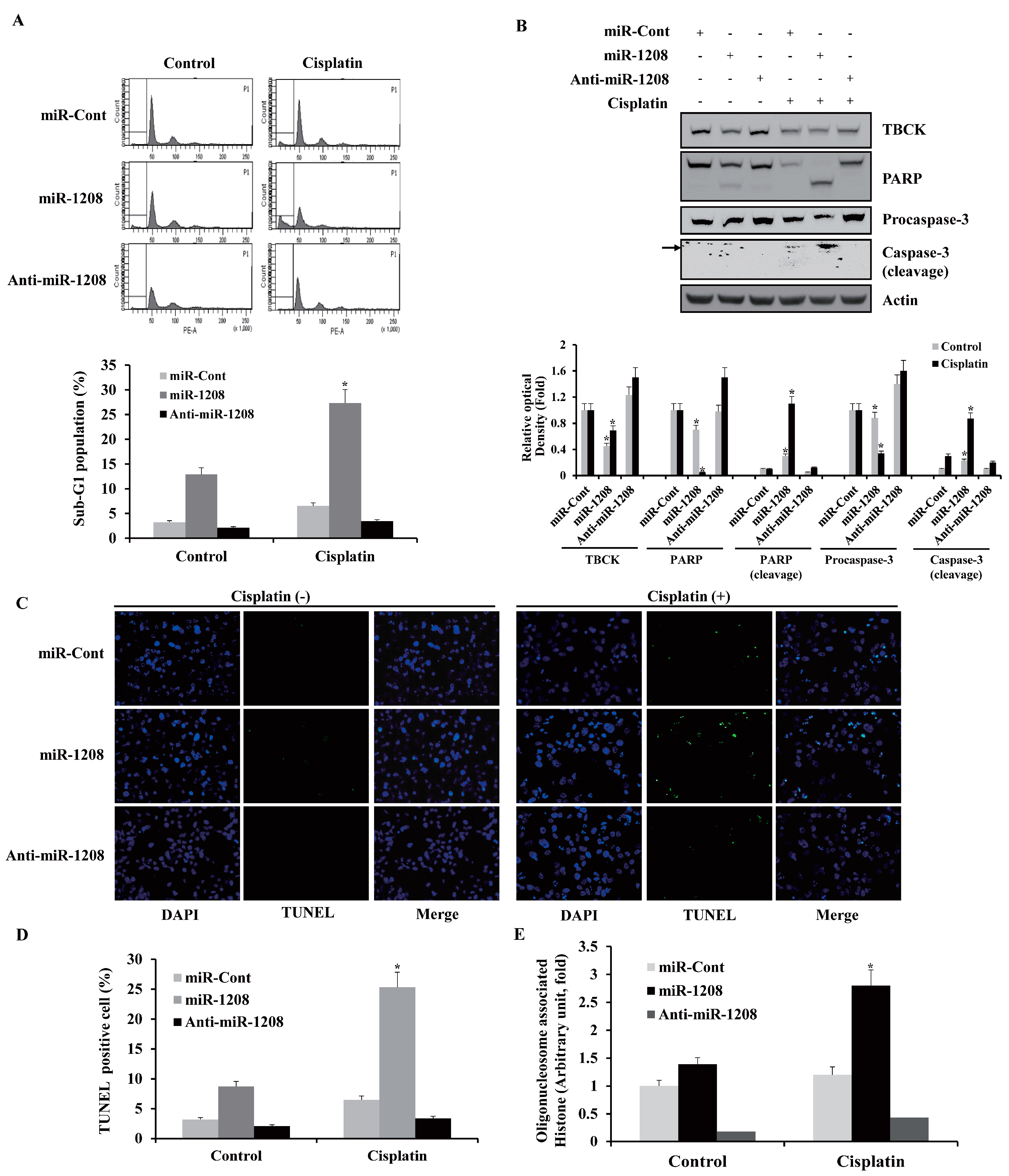 Ijms 20 03540 g004