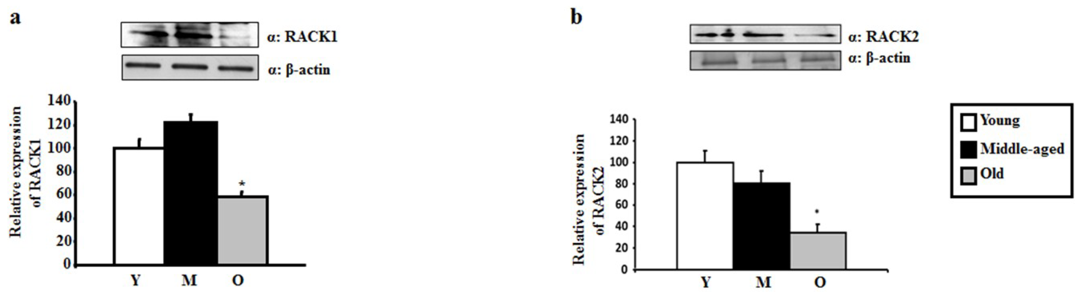 Ijms 20 03544 g003