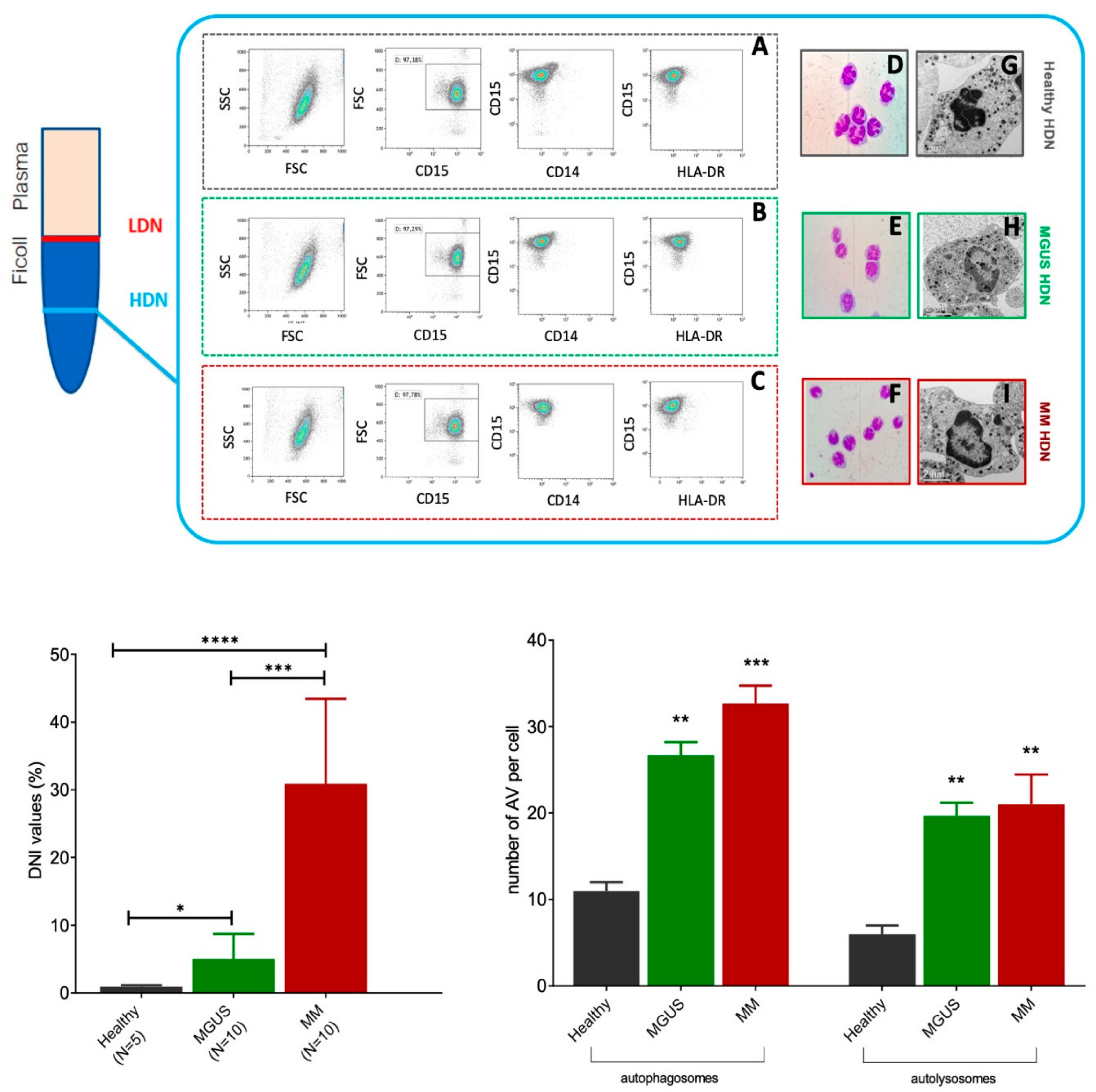 Ijms 20 03548 g001 Ijms 20 03548 g001