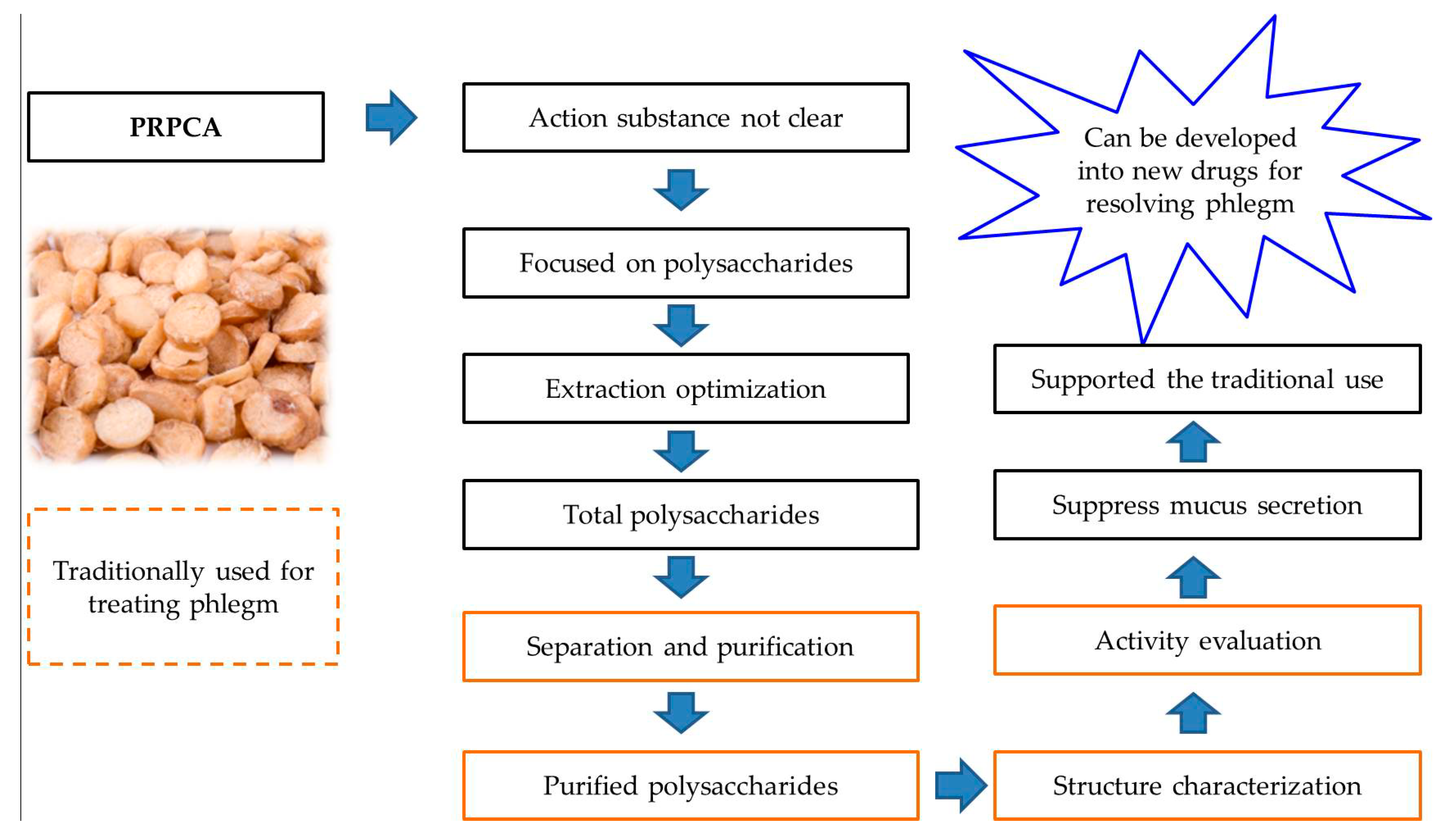 Ijms 20 03553 g001 Ijms 20 03553 g001