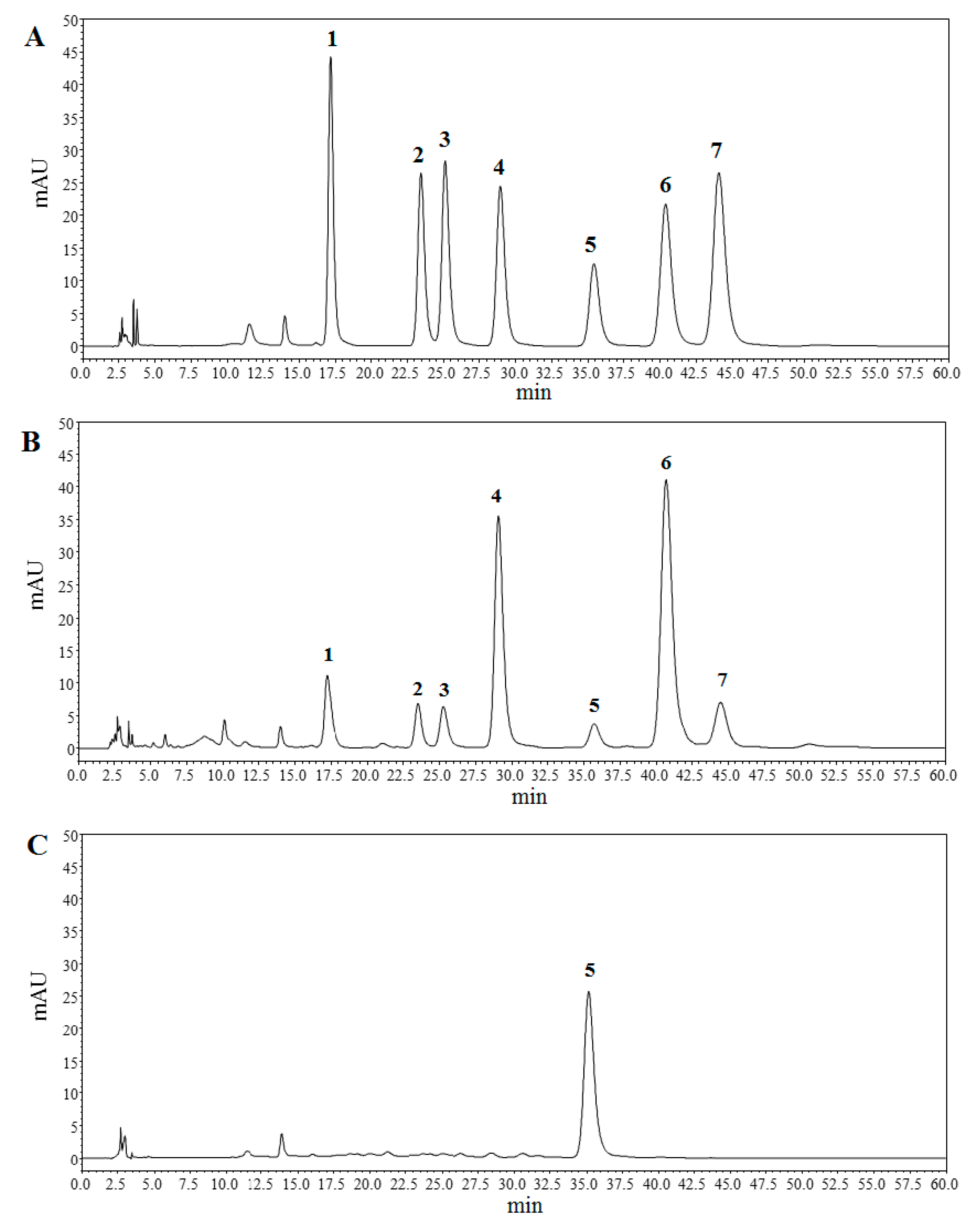 Ijms 20 03553 g006 Ijms 20 03553 g006