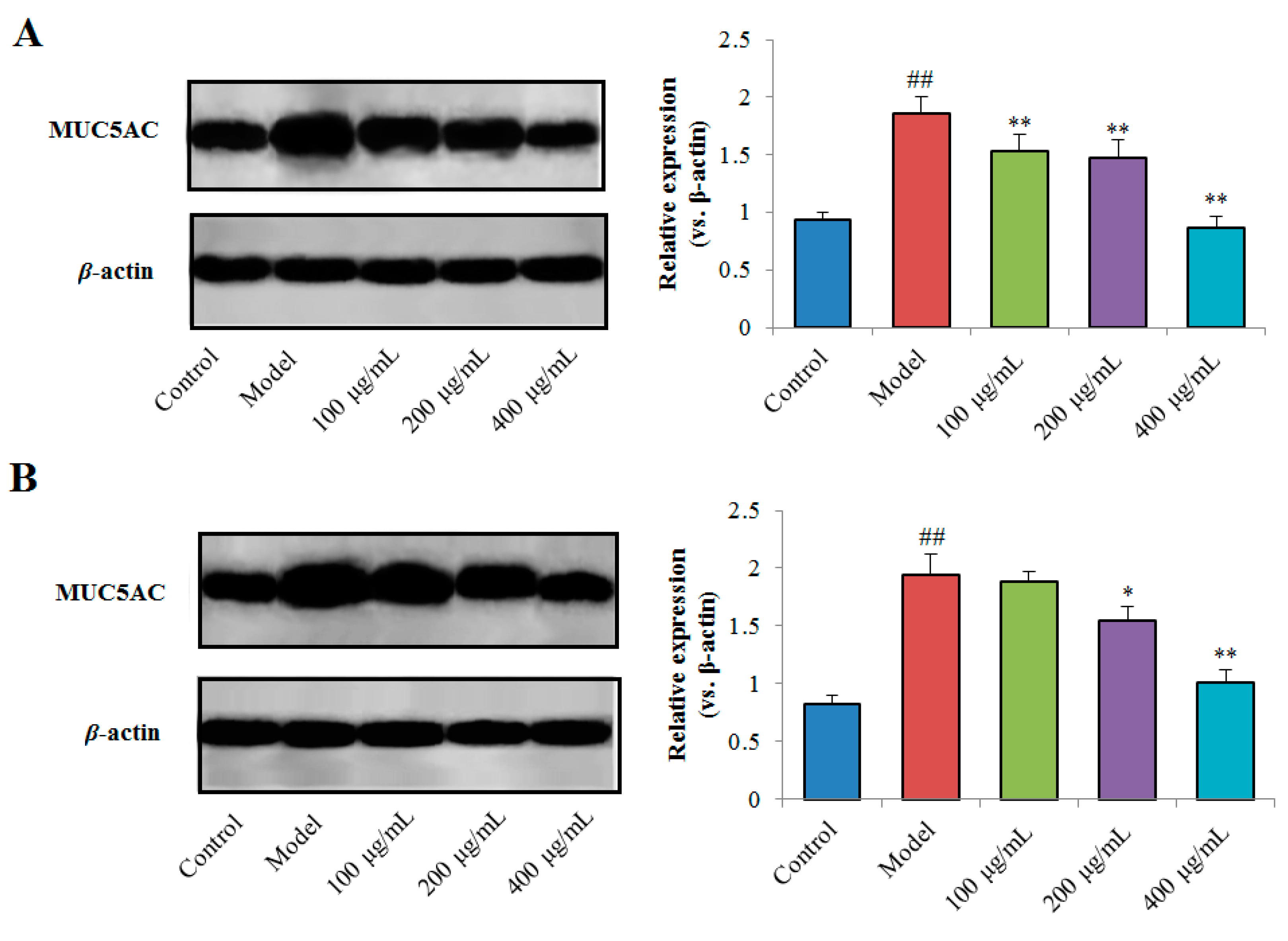Ijms 20 03553 g009 Ijms 20 03553 g009