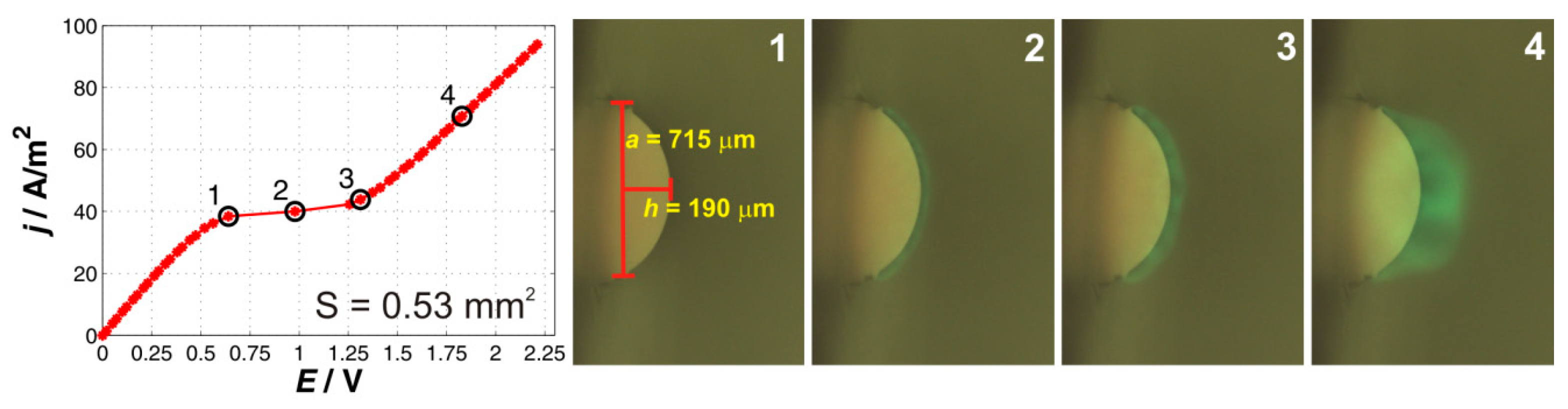 Ijms 20 03579 g001