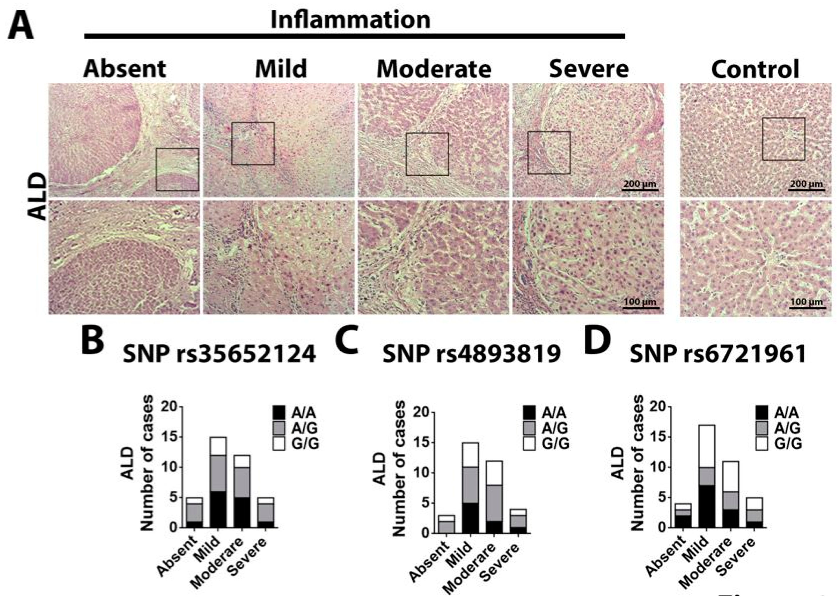 Ijms 20 03589 g003 Ijms 20 03589 g003