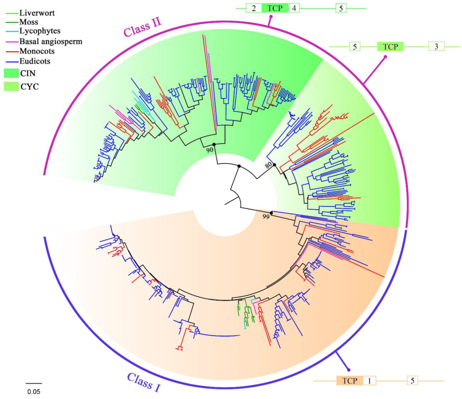 Ijms 20 03591 g002 Ijms 20 03591 g002