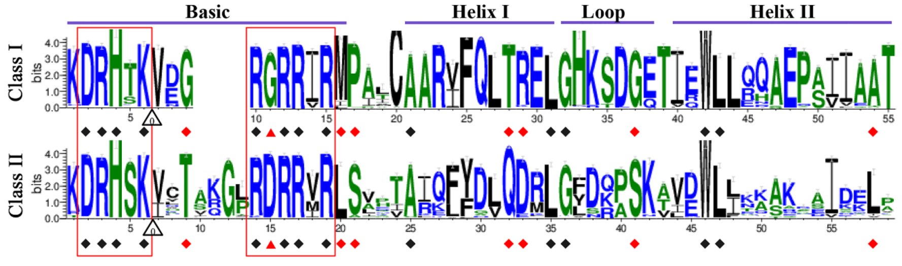 Ijms 20 03591 g003 Ijms 20 03591 g003
