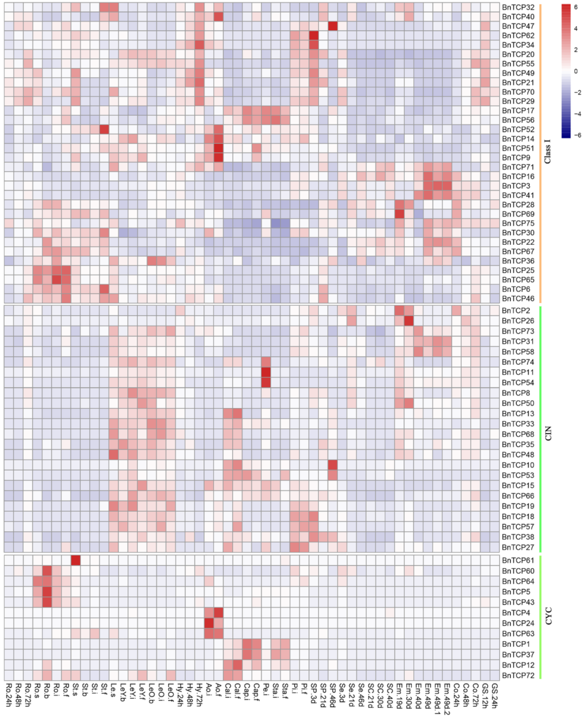 Ijms 20 03591 g005 Ijms 20 03591 g005