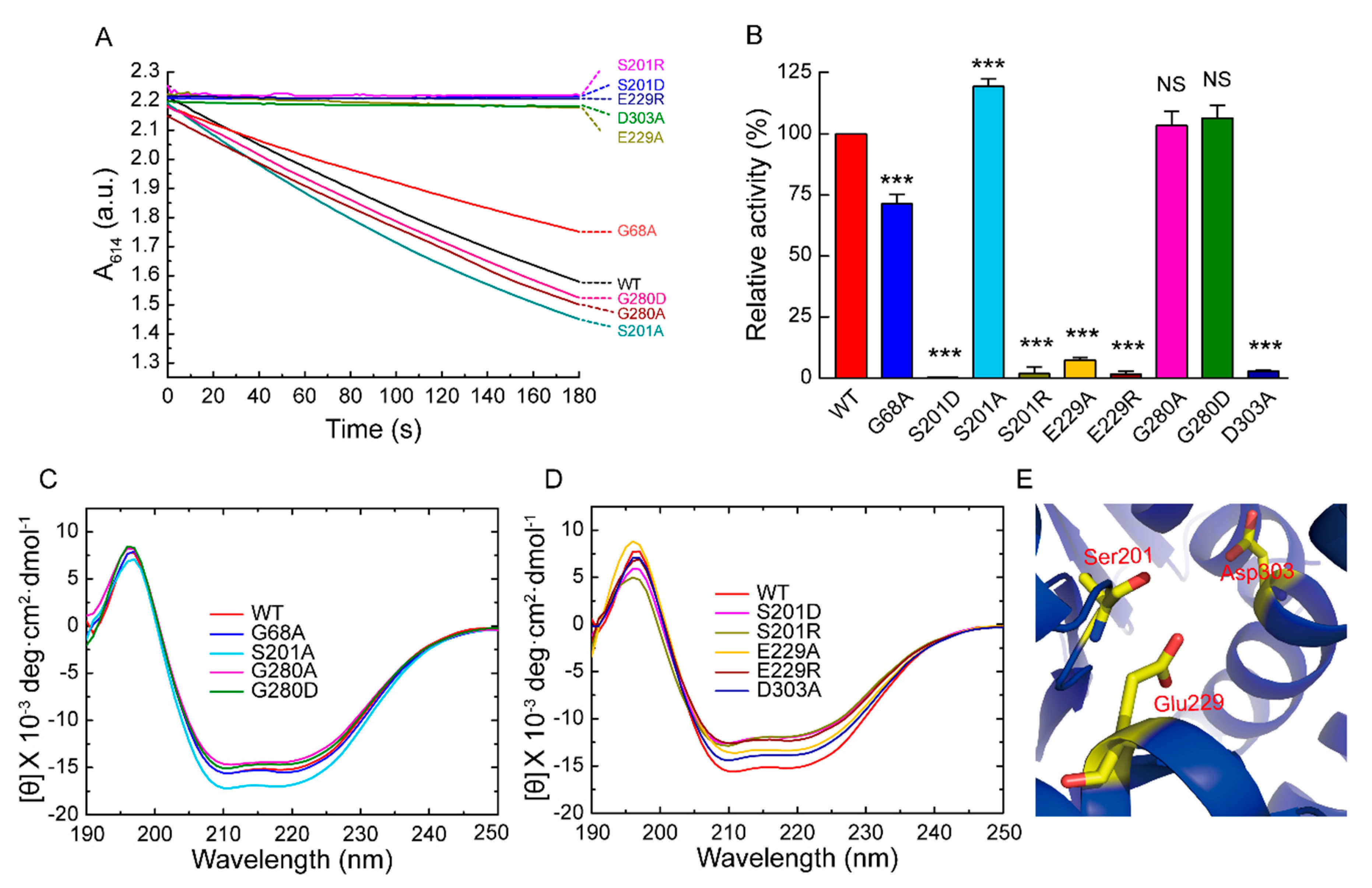 Ijms 20 03732 g003 Ijms 20 03732 g003