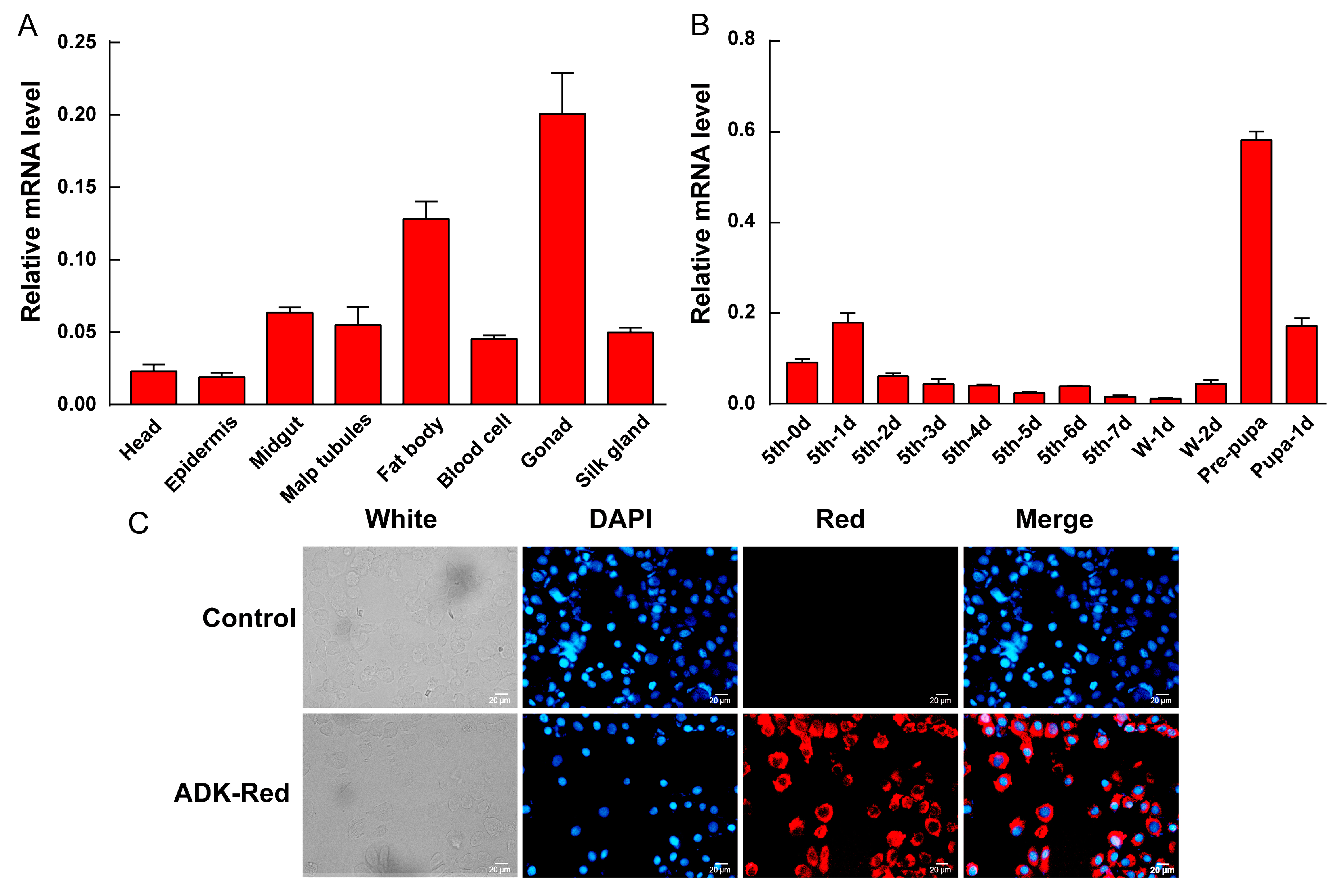 Ijms 20 03732 g004 Ijms 20 03732 g004