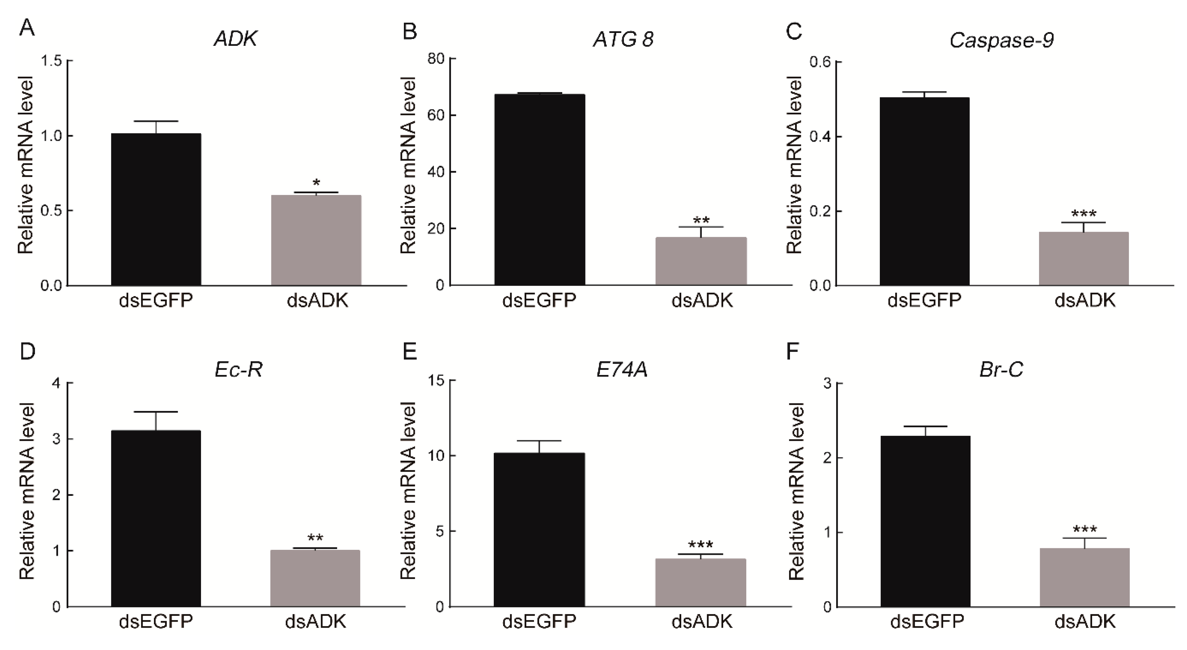 Ijms 20 03732 g005 Ijms 20 03732 g005