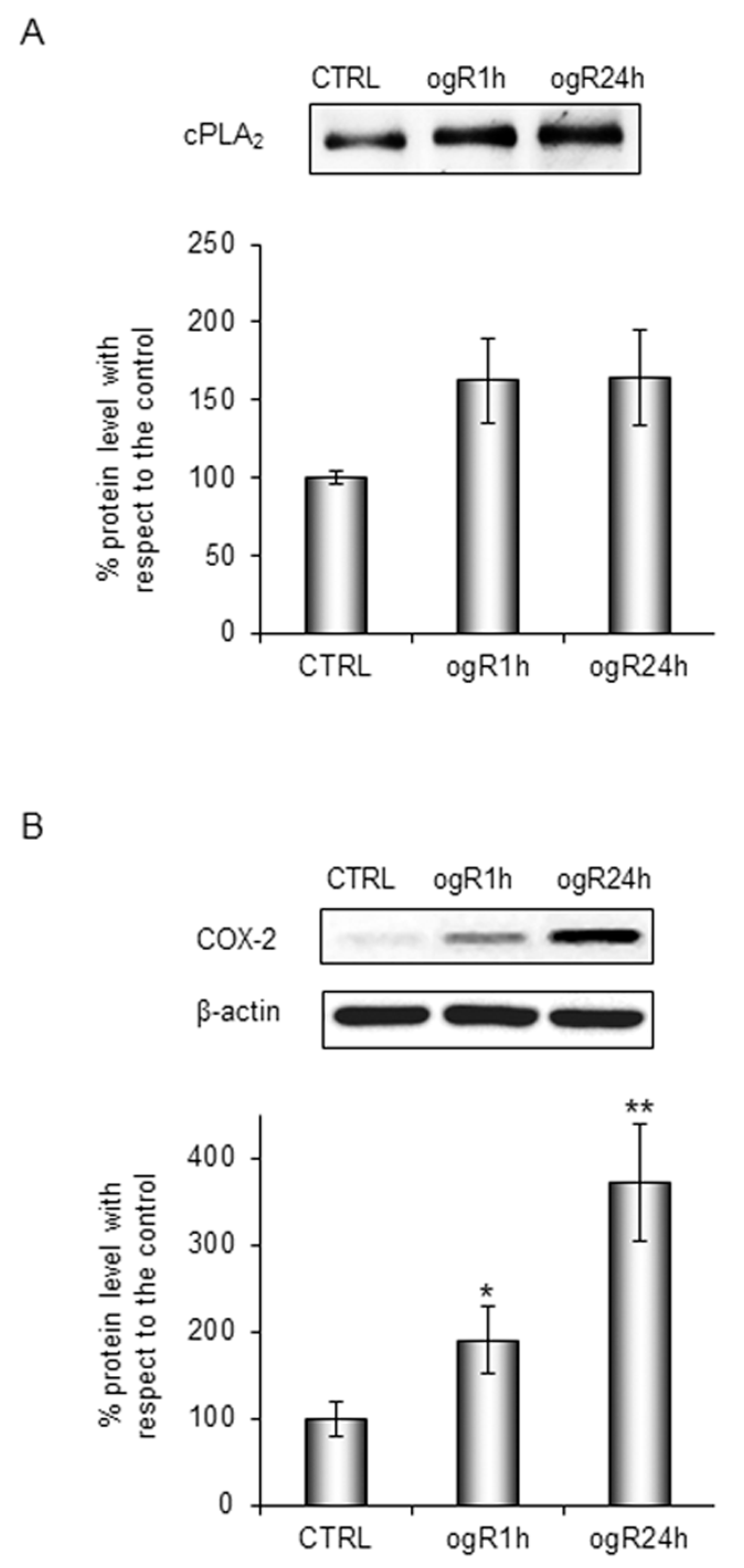 Ijms 20 03752 g002 Ijms 20 03752 g002