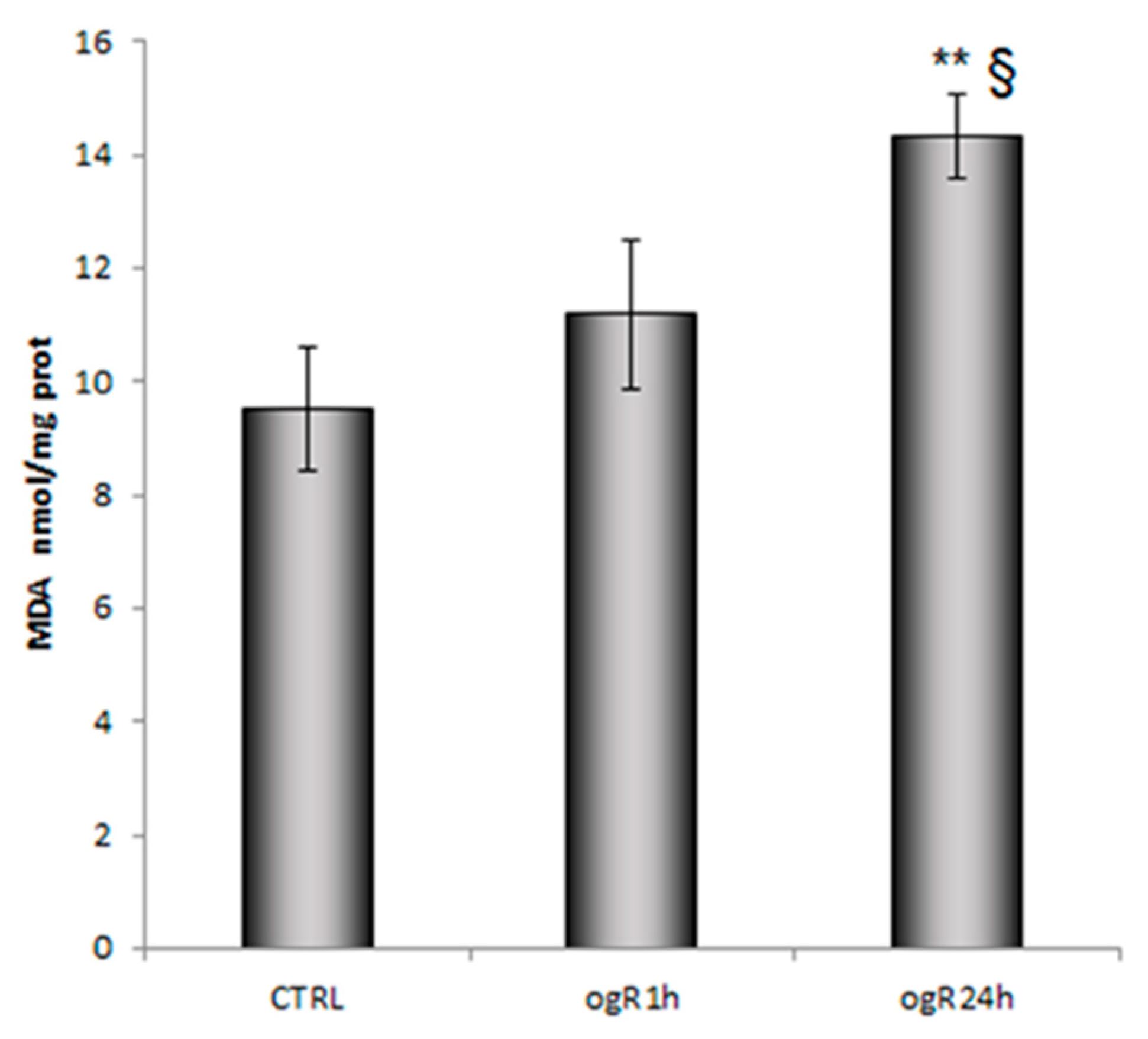 Ijms 20 03752 g003 Ijms 20 03752 g003