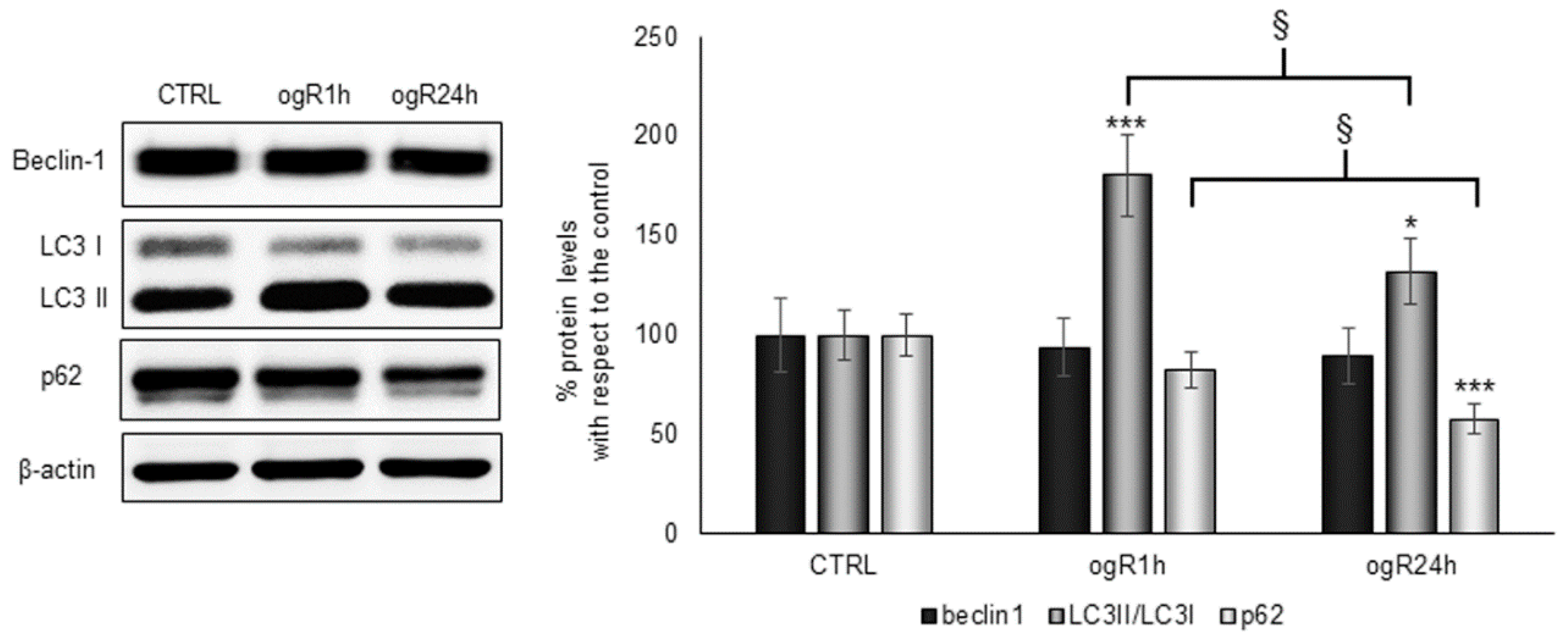 Ijms 20 03752 g006 Ijms 20 03752 g006