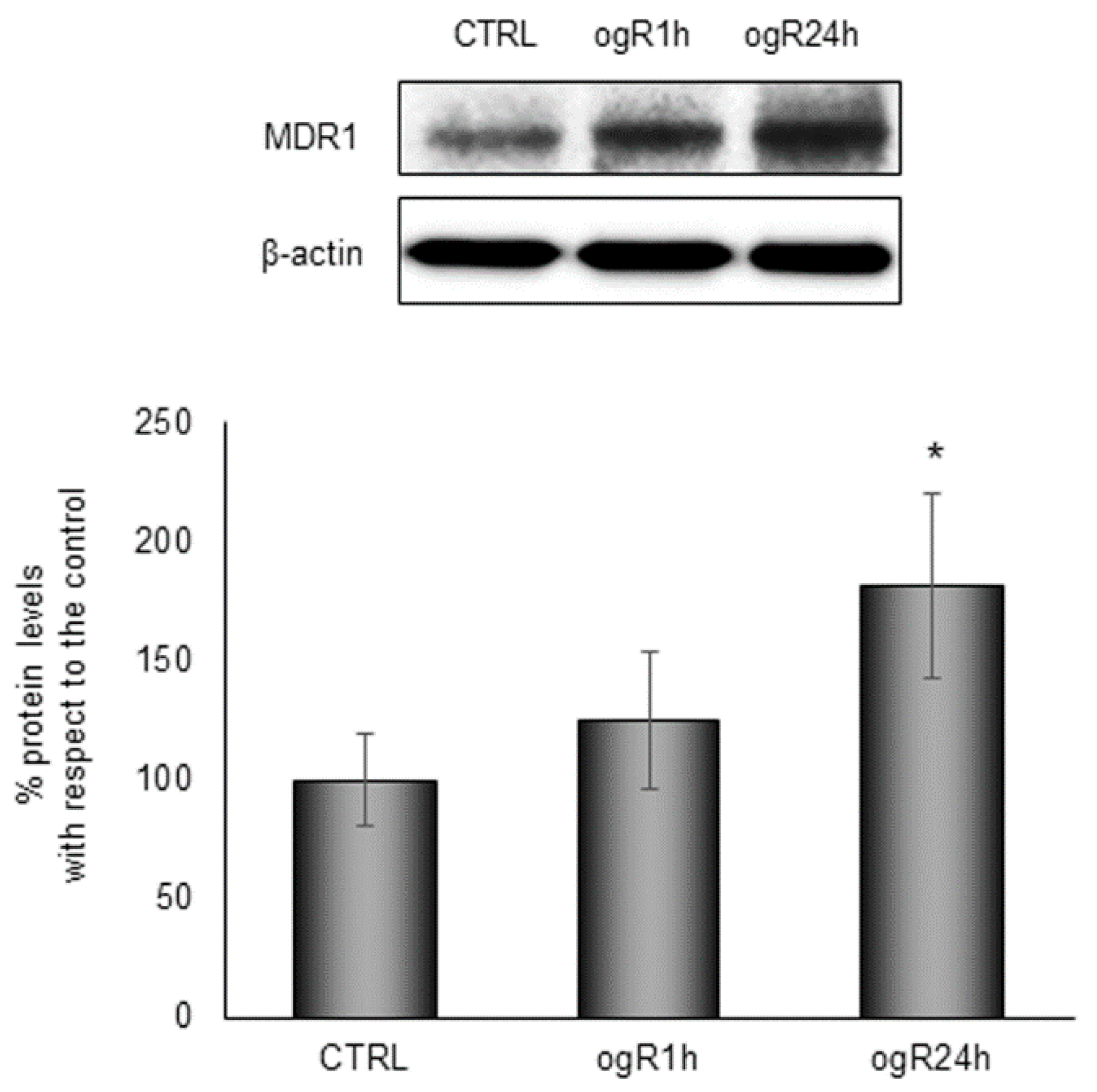 Ijms 20 03752 g009 Ijms 20 03752 g009