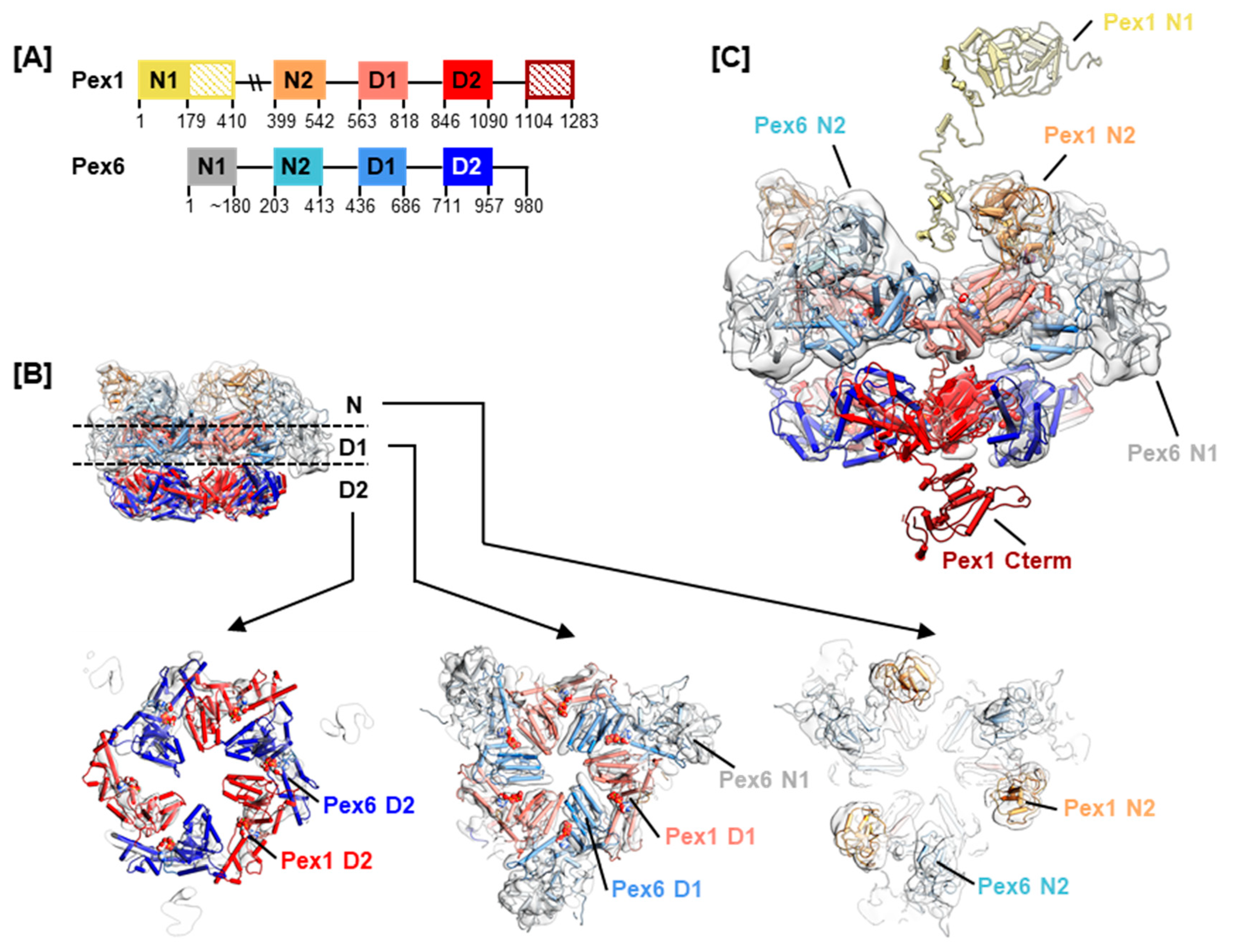 Ijms 20 03756 g002