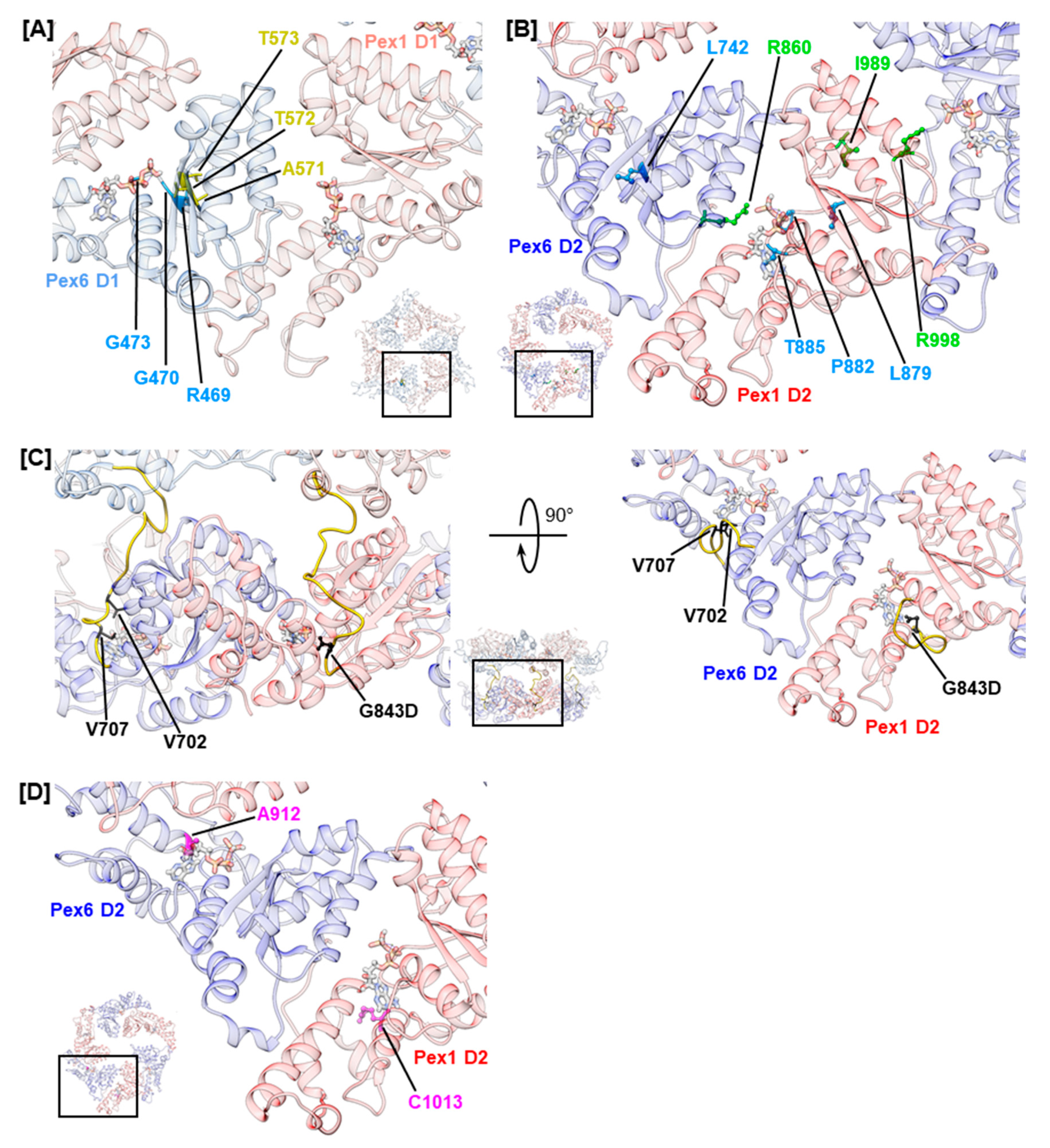 Ijms 20 03756 g003