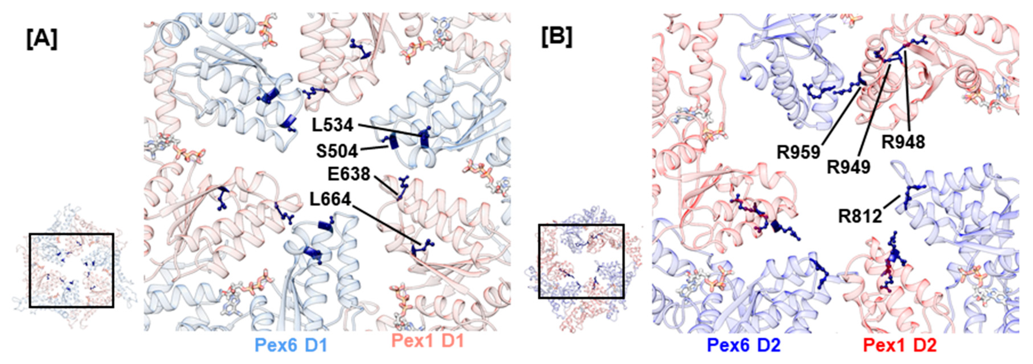 Ijms 20 03756 g004
