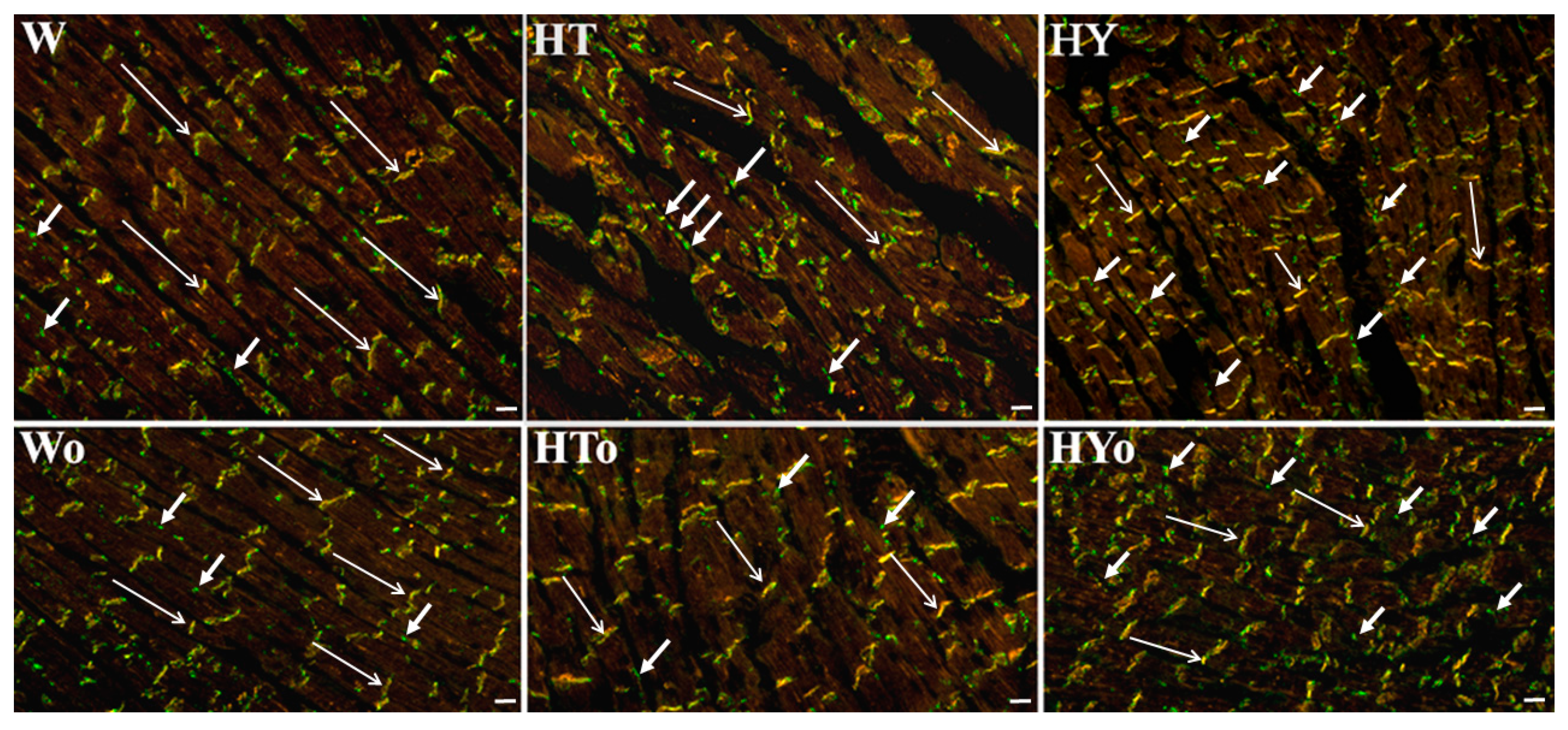 Ijms 20 03758 g003