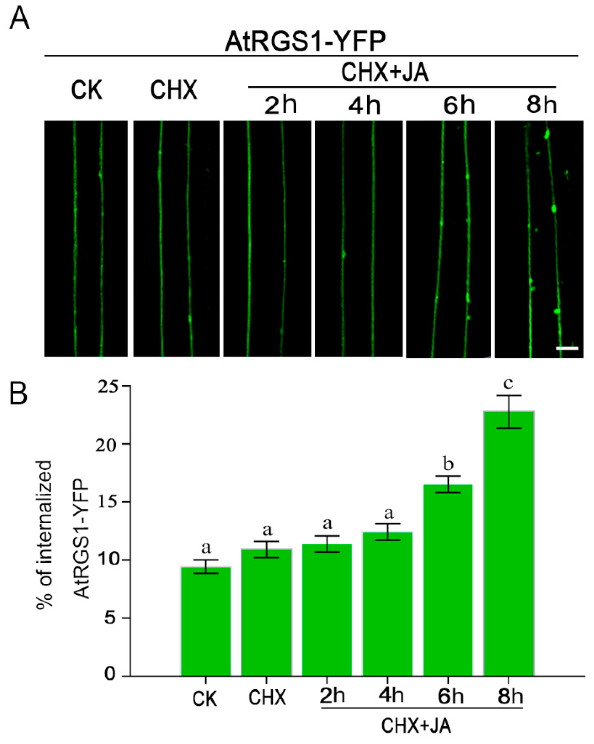 Ijms 20 03779 g002 Ijms 20 03779 g002
