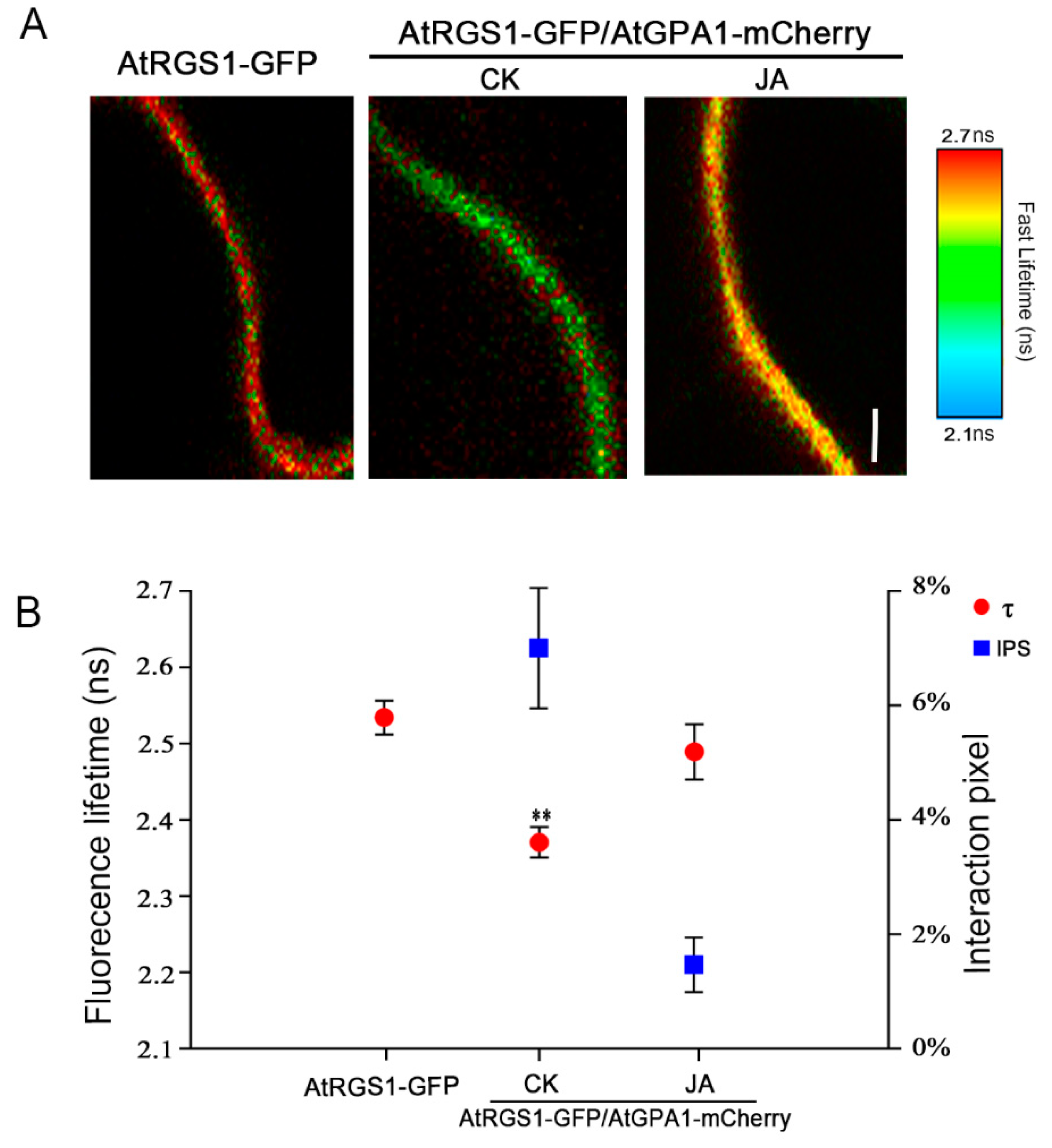 Ijms 20 03779 g004 Ijms 20 03779 g004