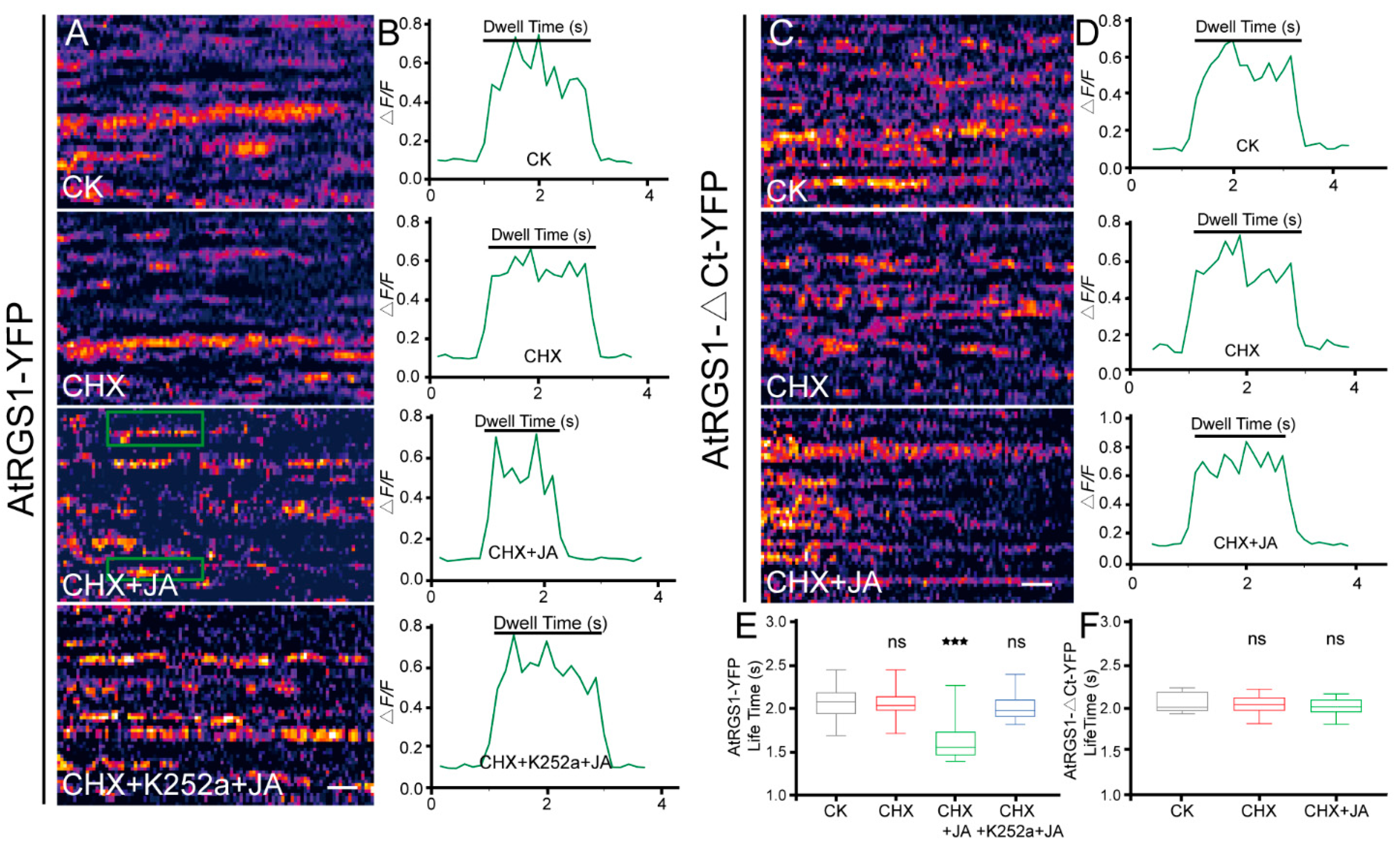 Ijms 20 03779 g006 Ijms 20 03779 g006