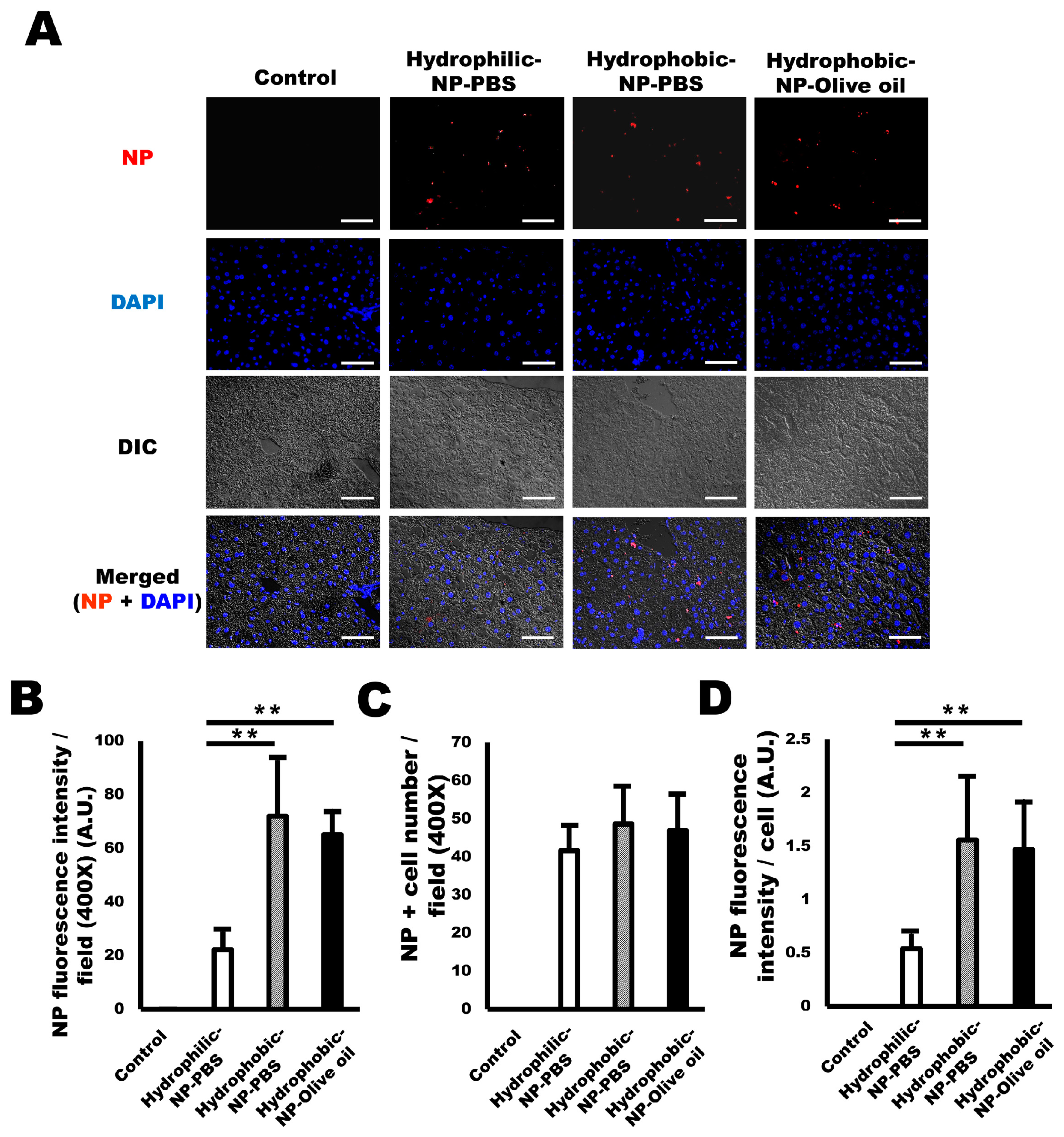 Ijms 20 03812 g002 Ijms 20 03812 g002