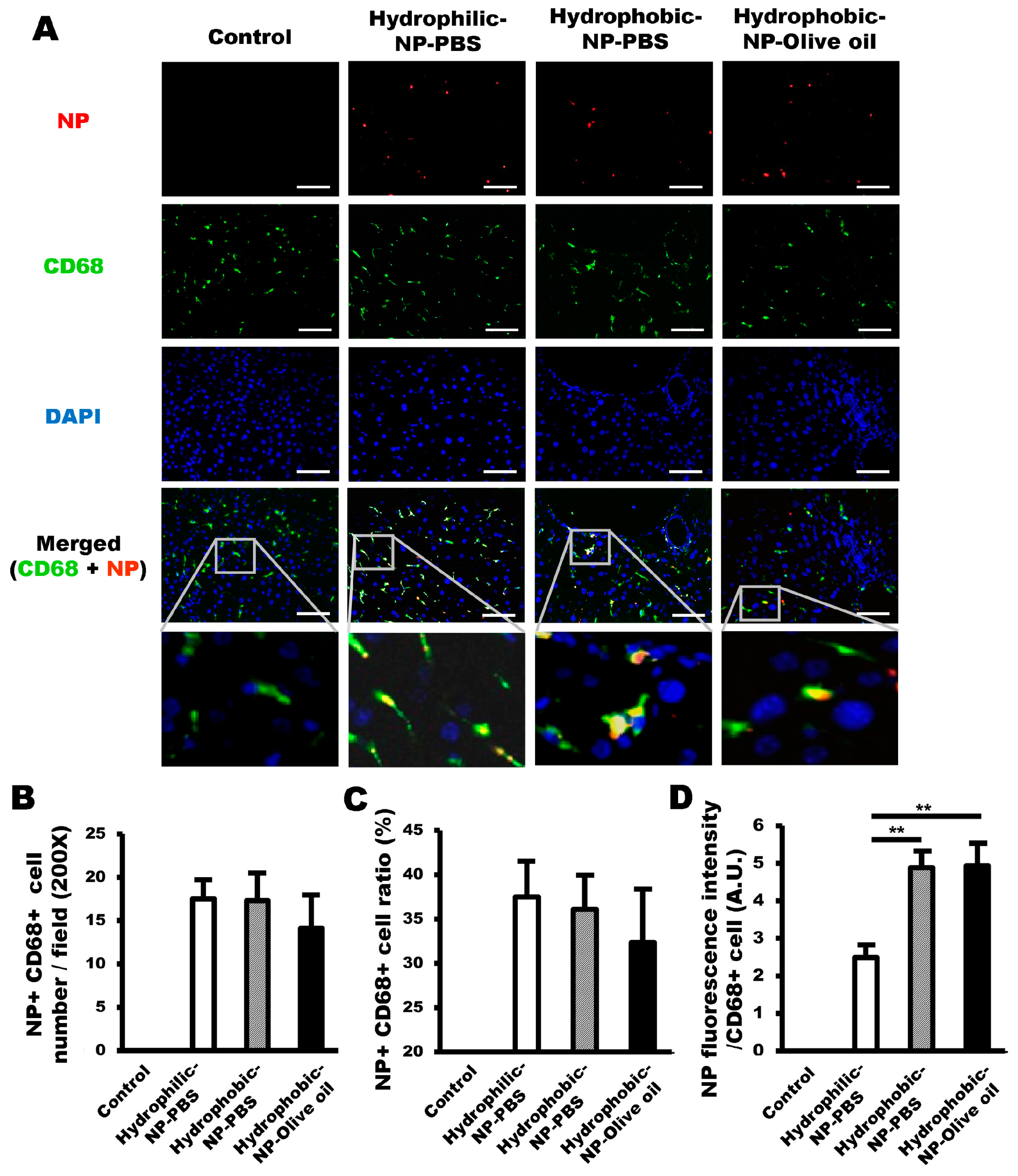 Ijms 20 03812 g003 Ijms 20 03812 g003