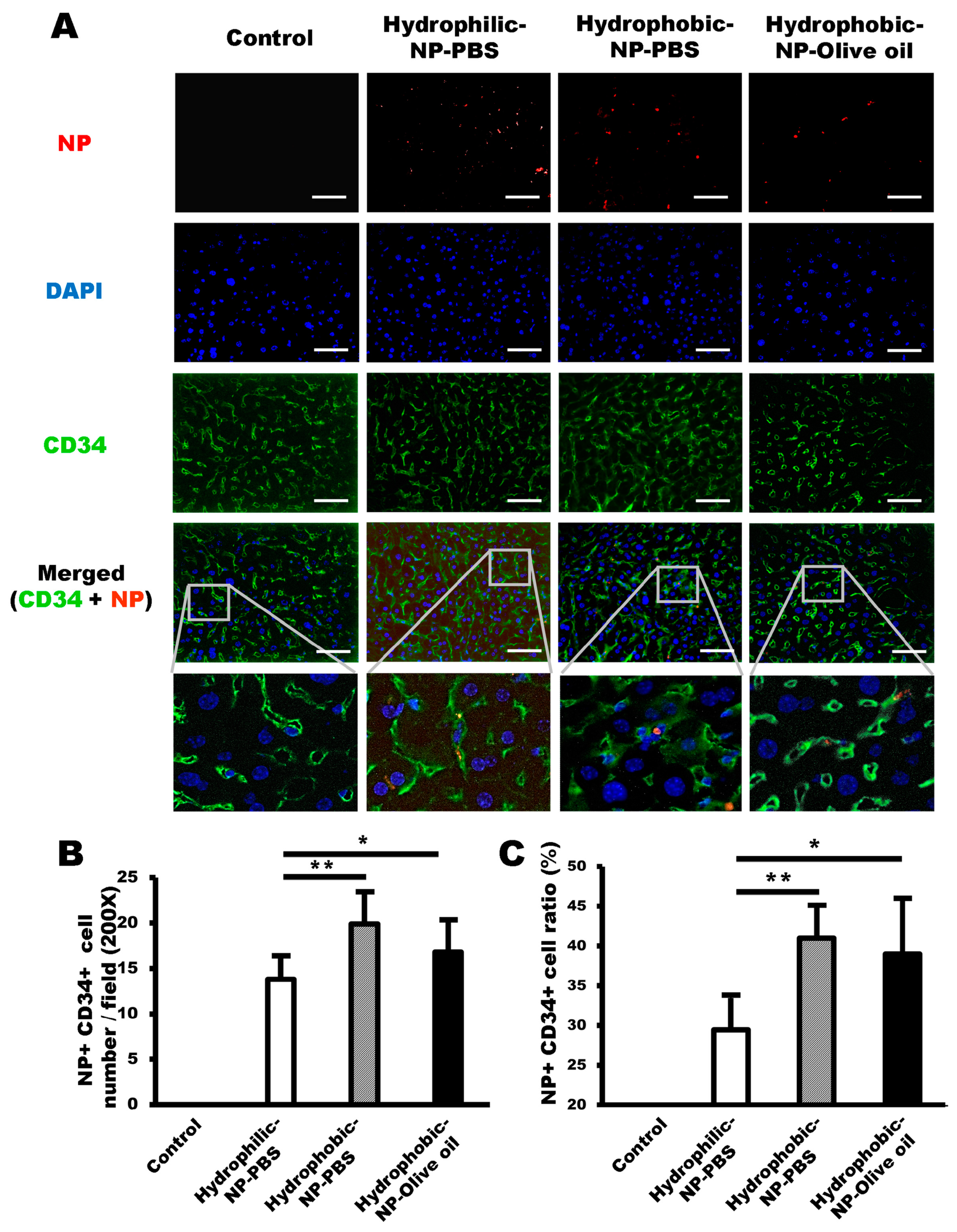 Ijms 20 03812 g004 Ijms 20 03812 g004